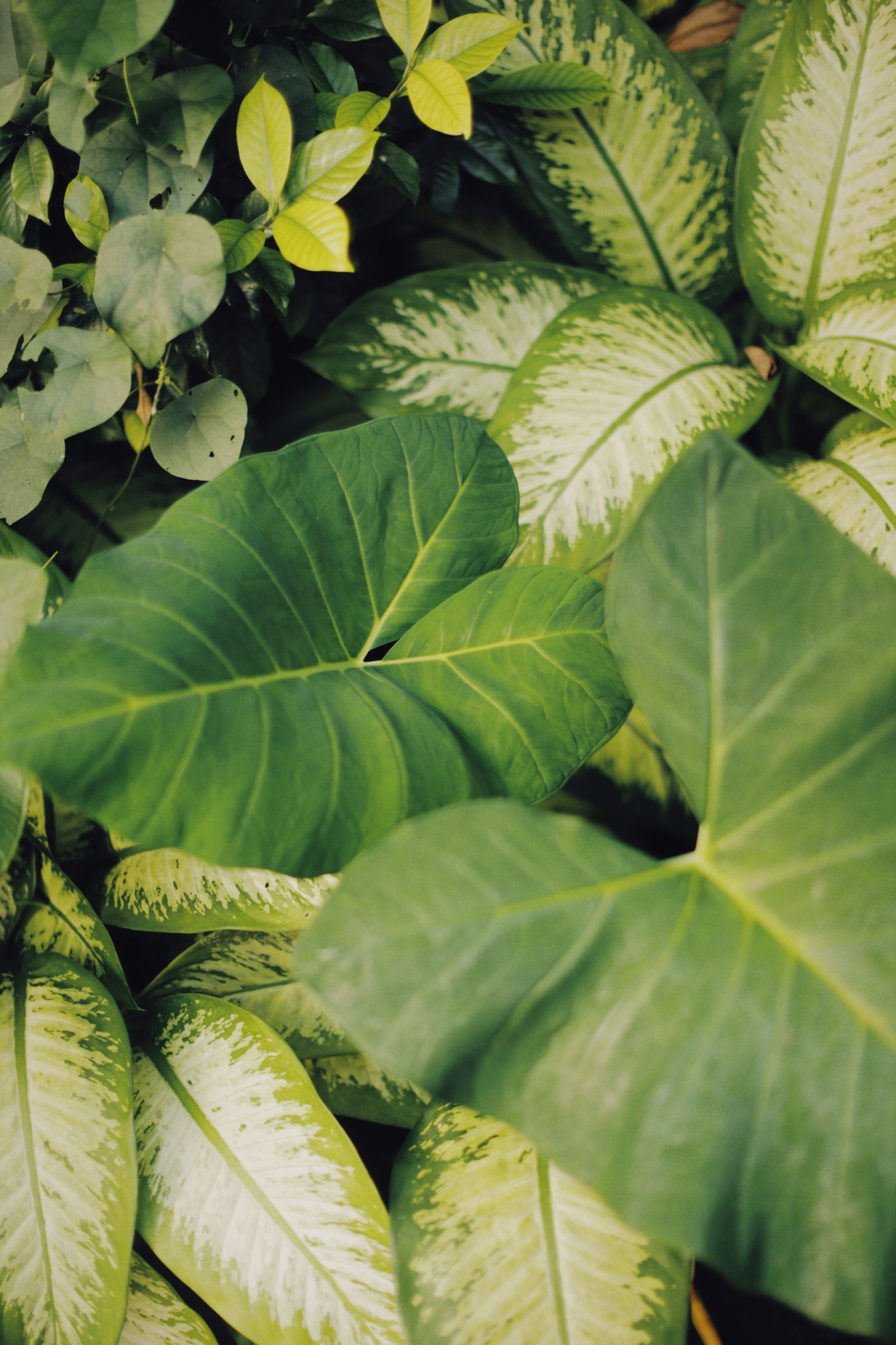 Photo by alexeydemidov