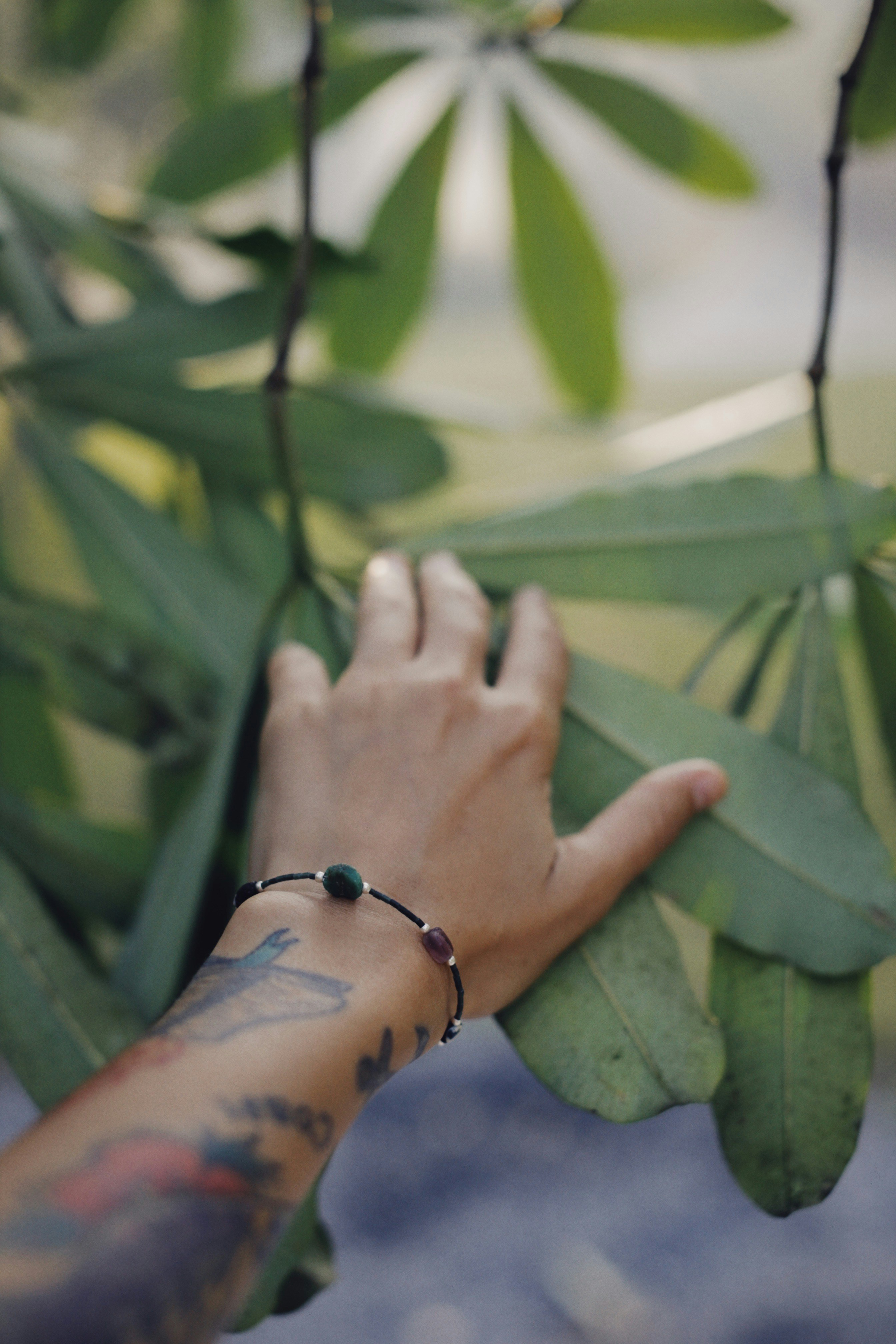 Photo by alexeydemidov