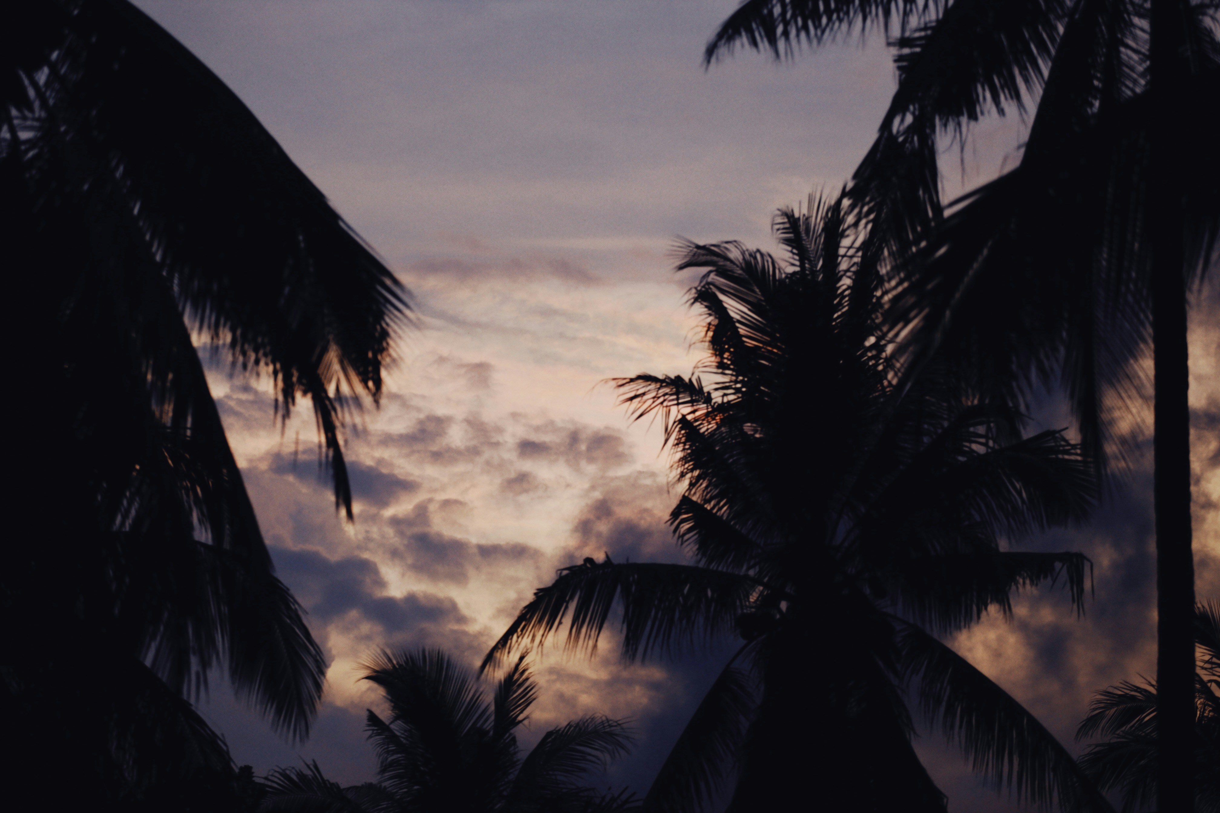 Photo by alexeydemidov