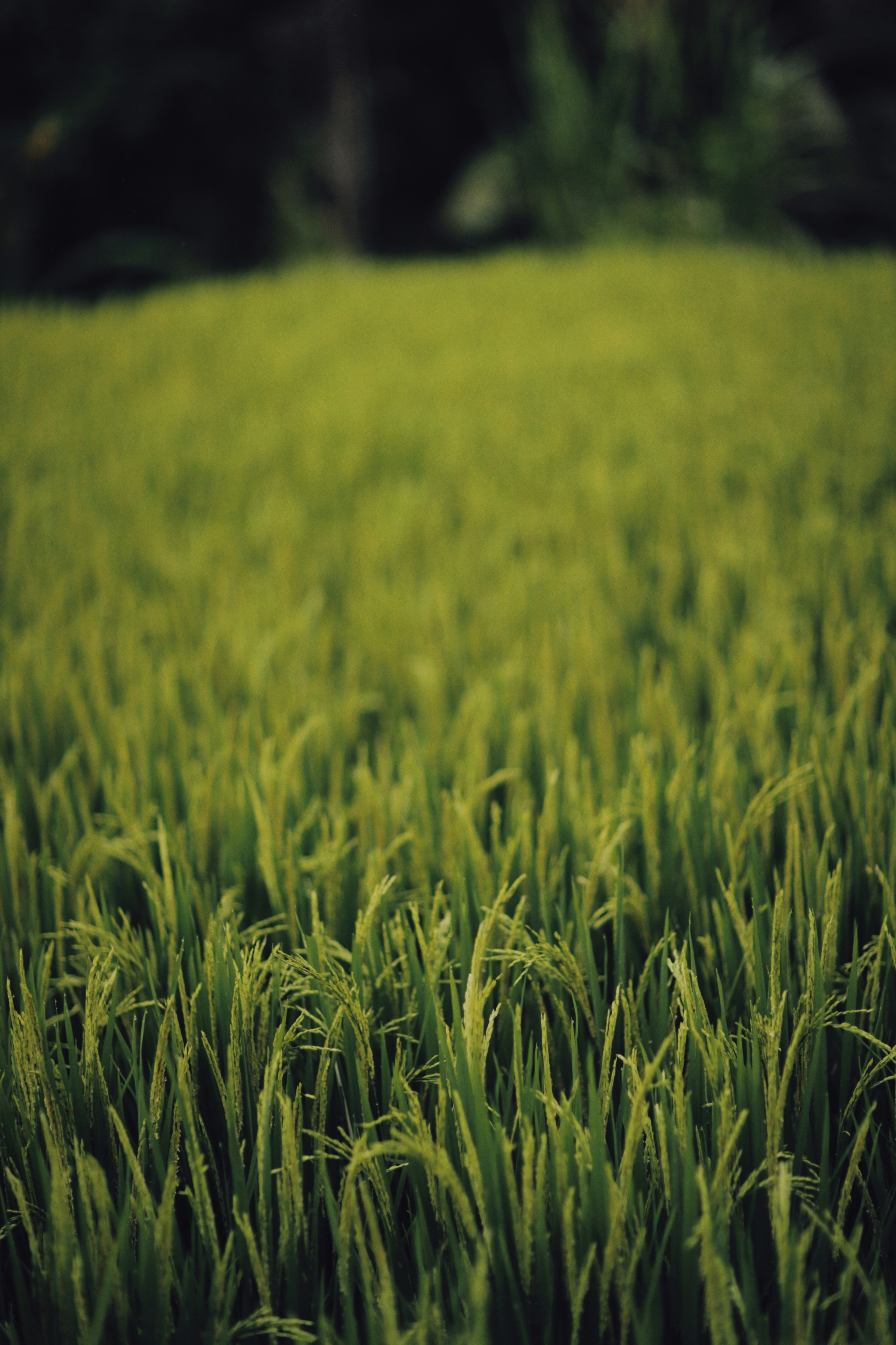 Photo by alexeydemidov