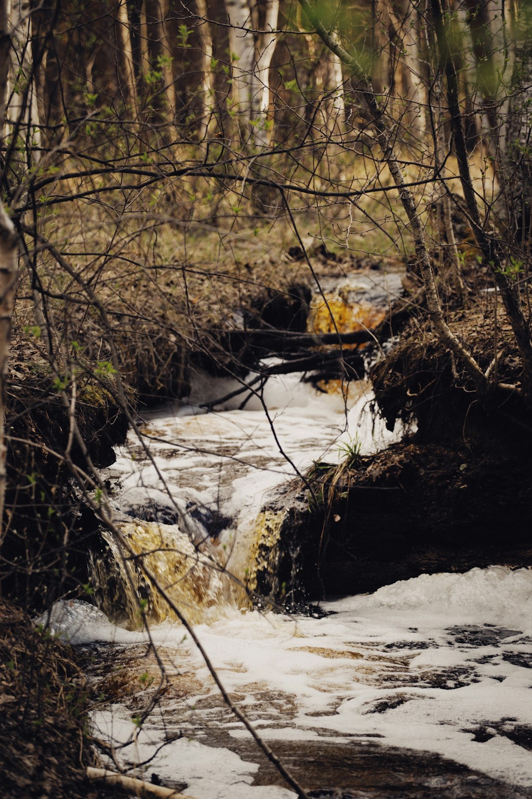 river in the middle of rocks