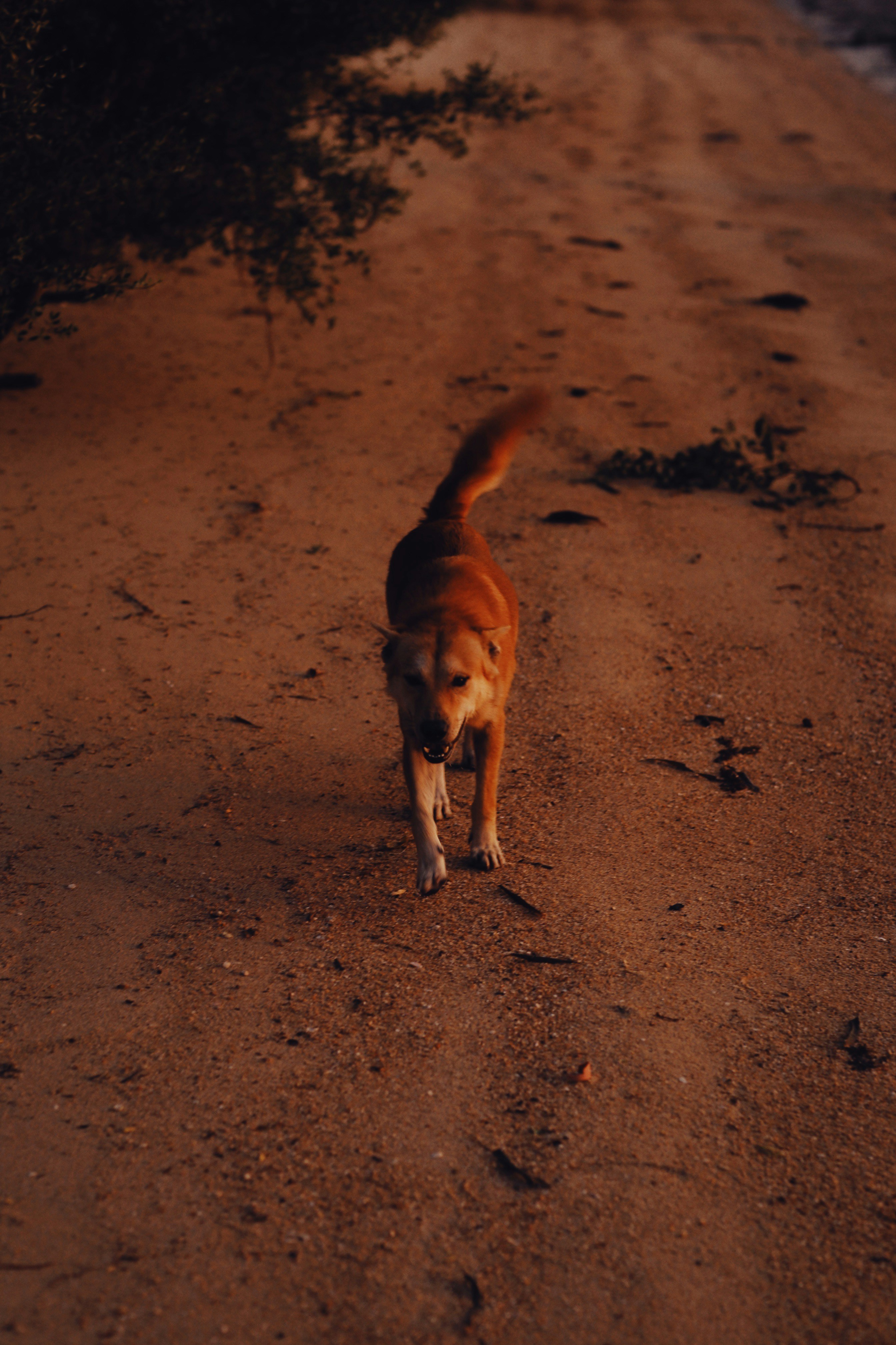 Photo by alexeydemidov