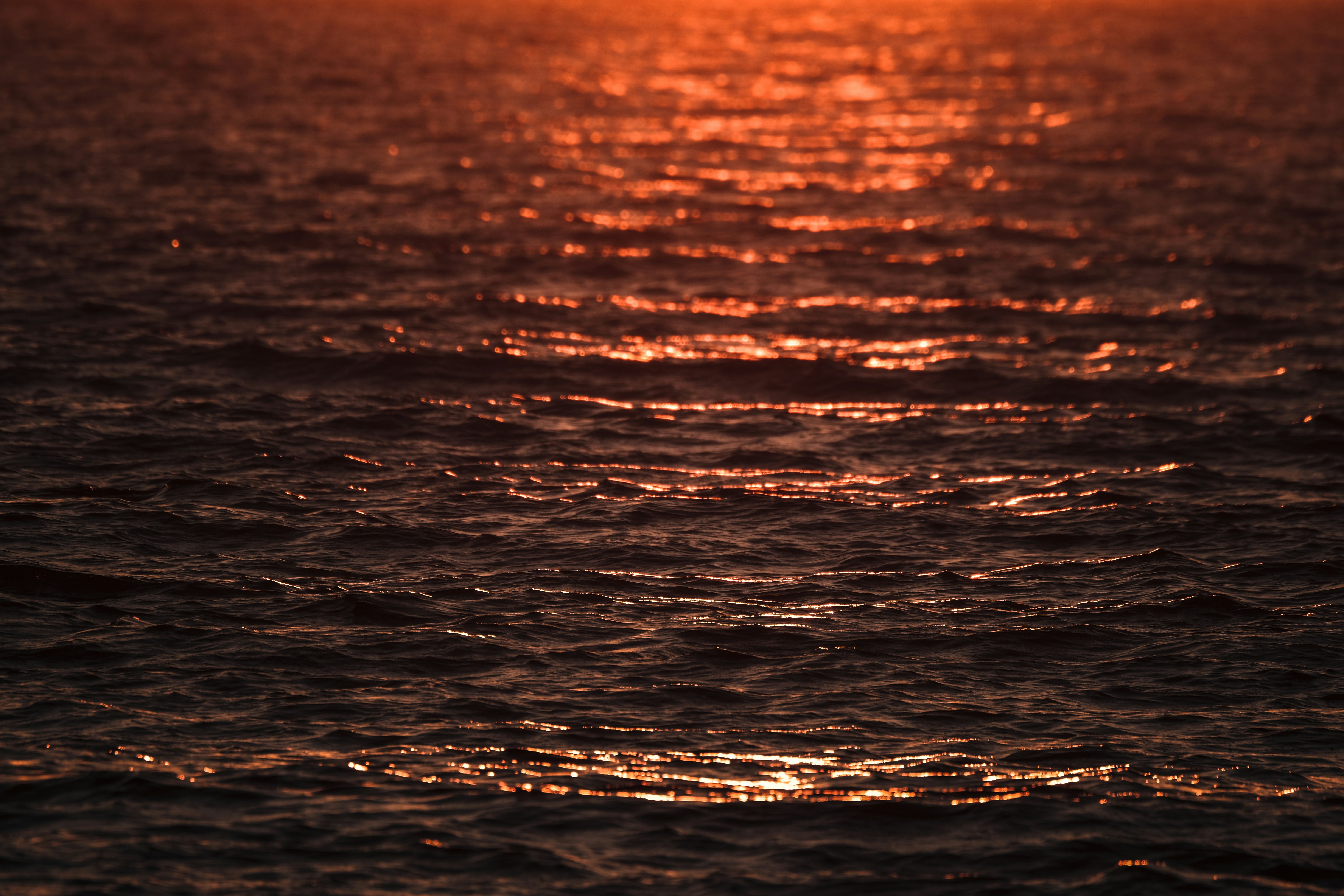 Photo by francesco_ungaro