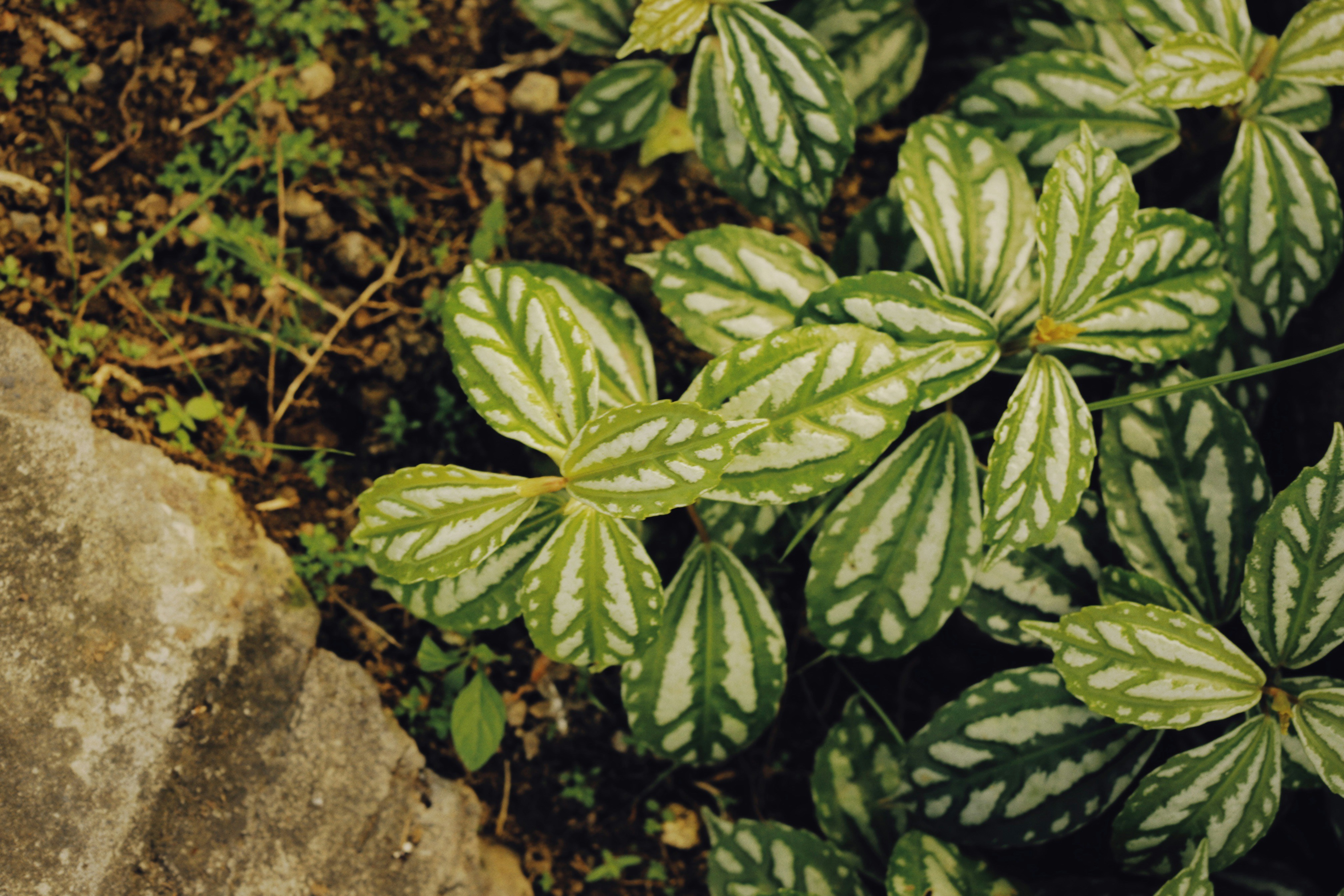 Photo by alexeydemidov