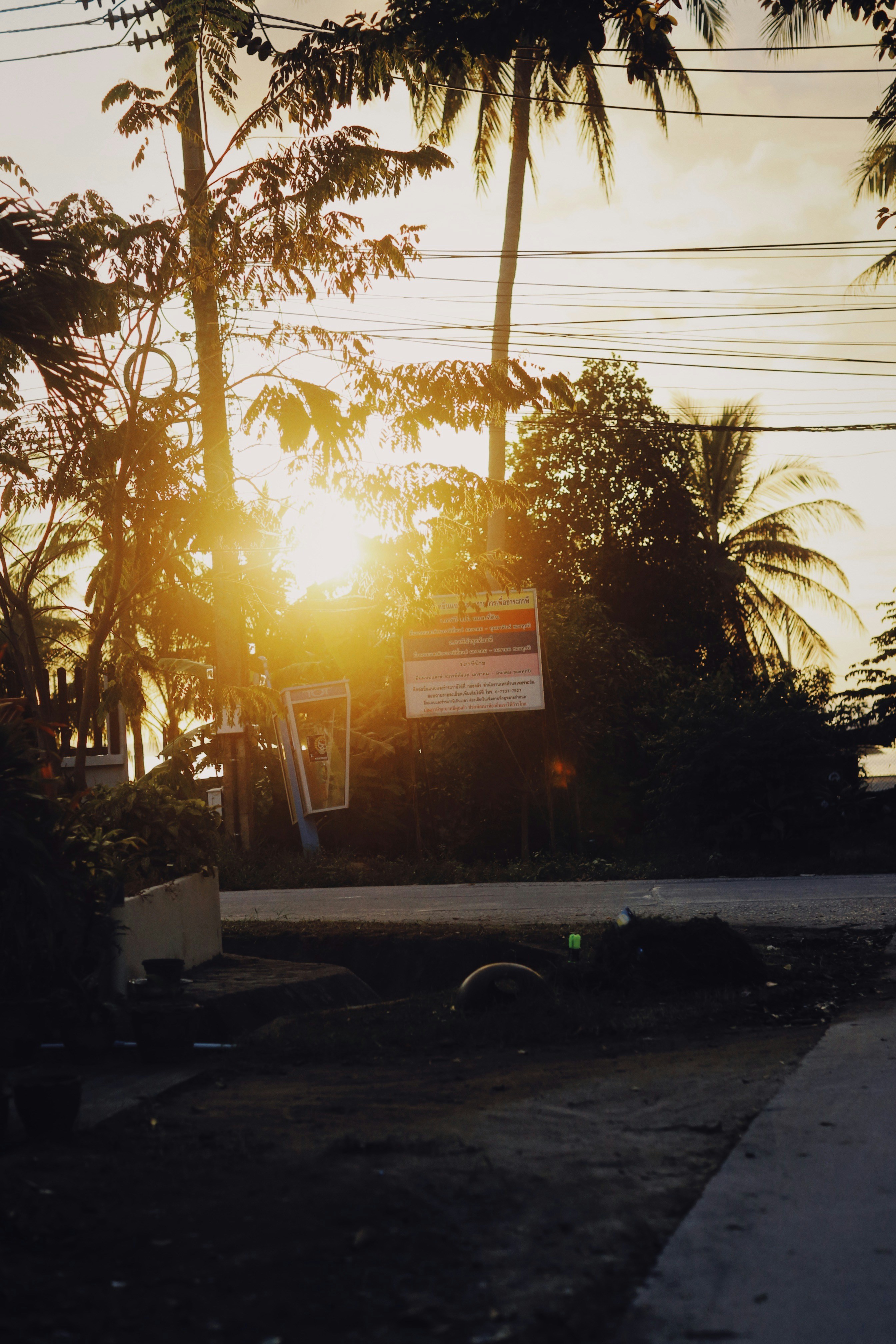 Photo by alexeydemidov