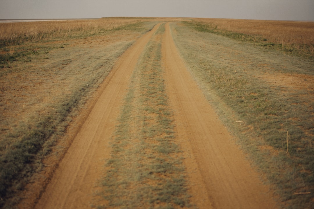 brown field under white sky during daytime