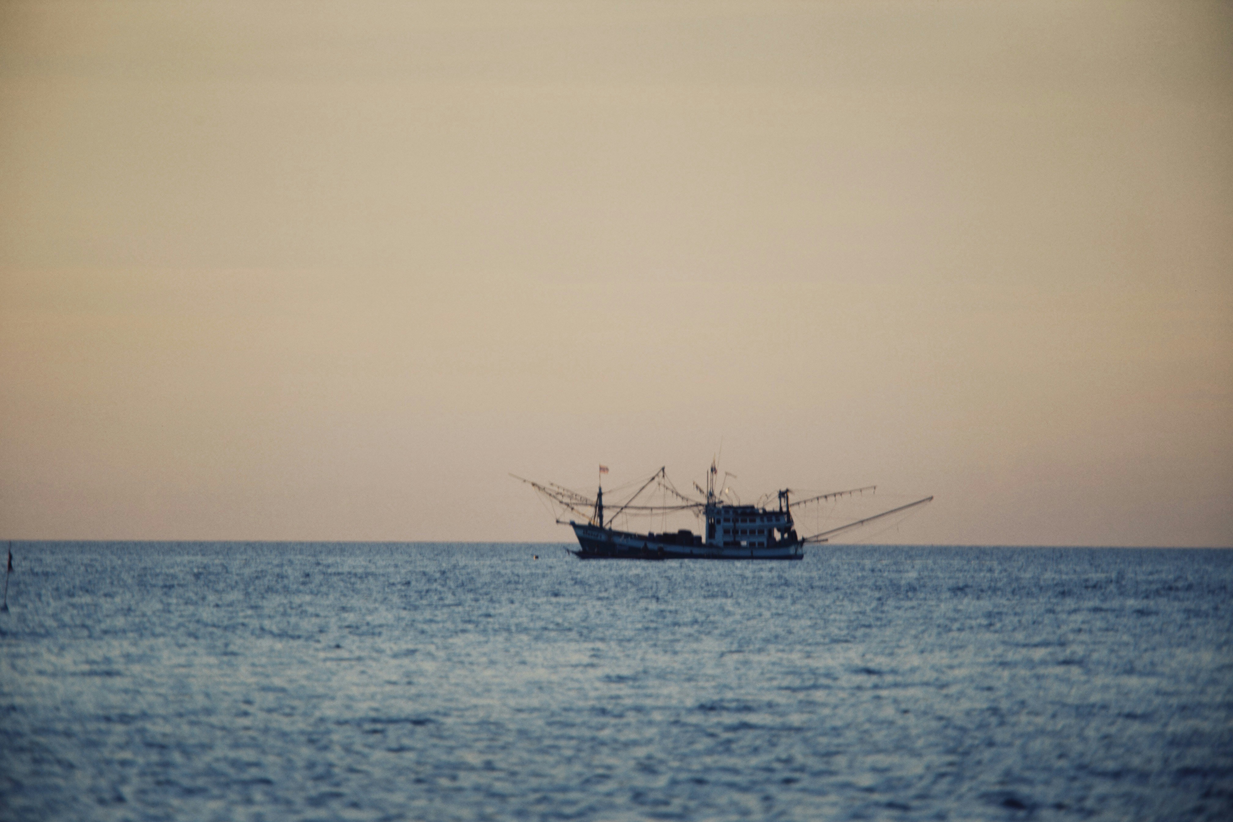 Photo by alexeydemidov