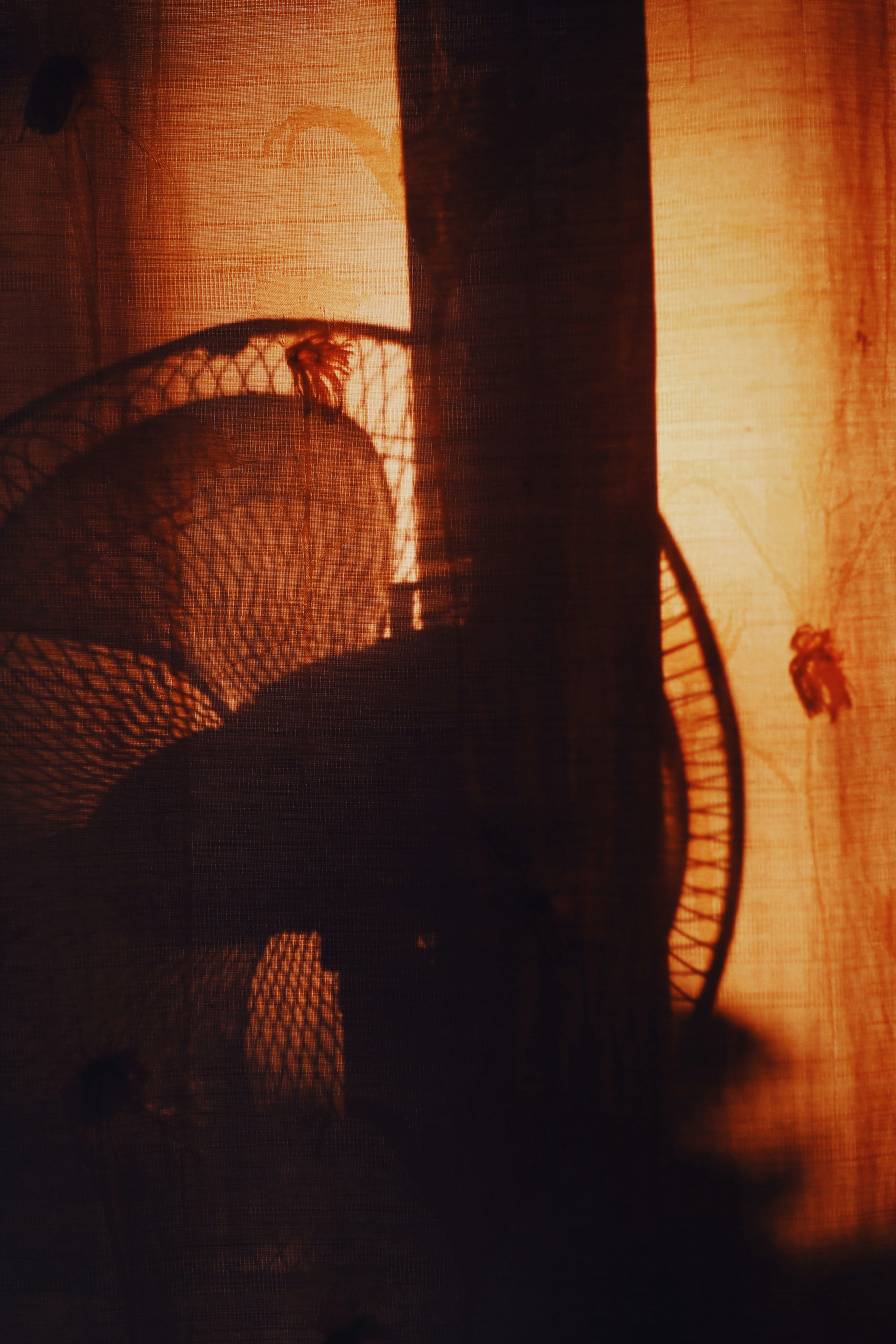 Photo by alexeydemidov