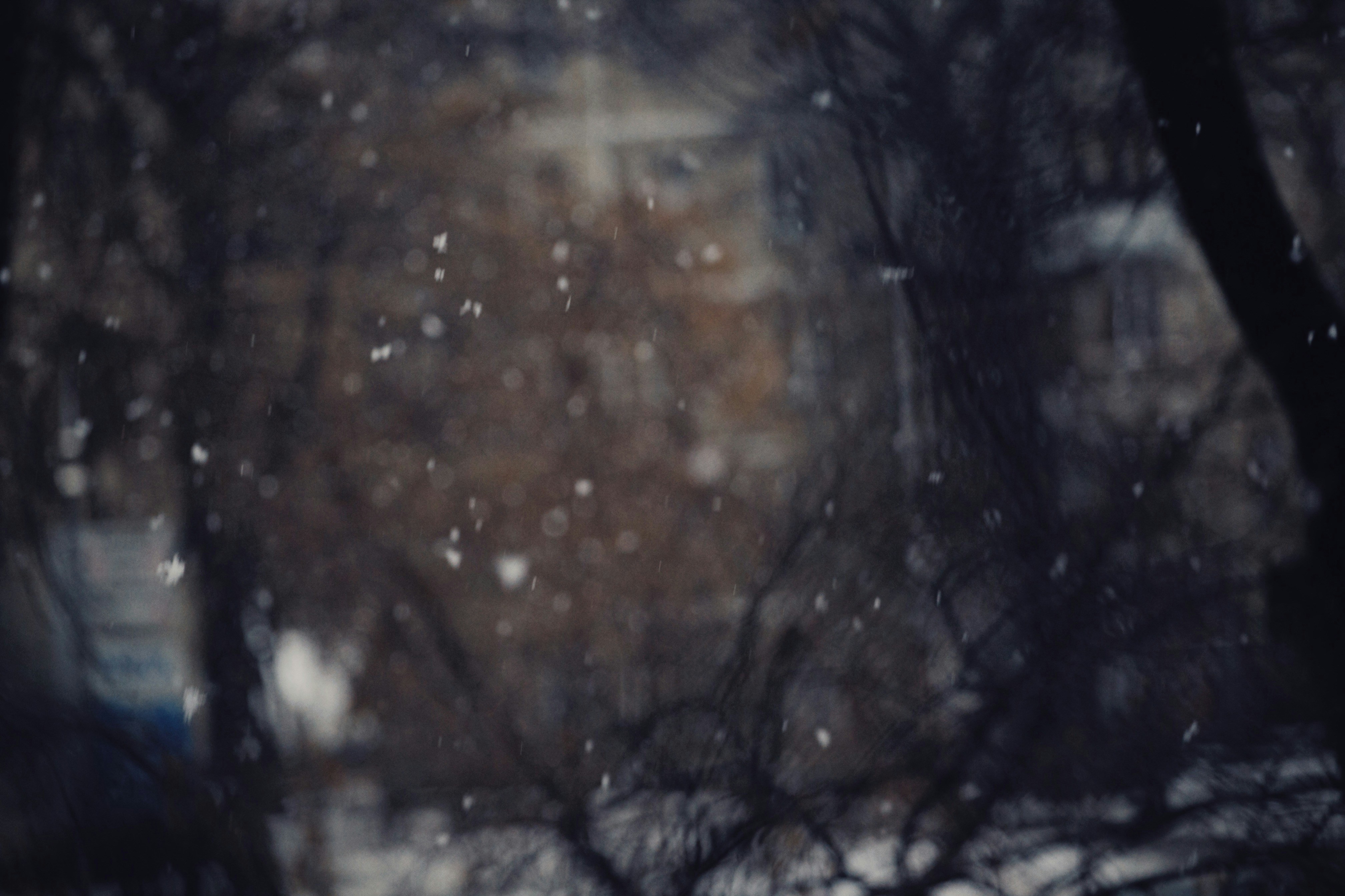 Photo by alexeydemidov