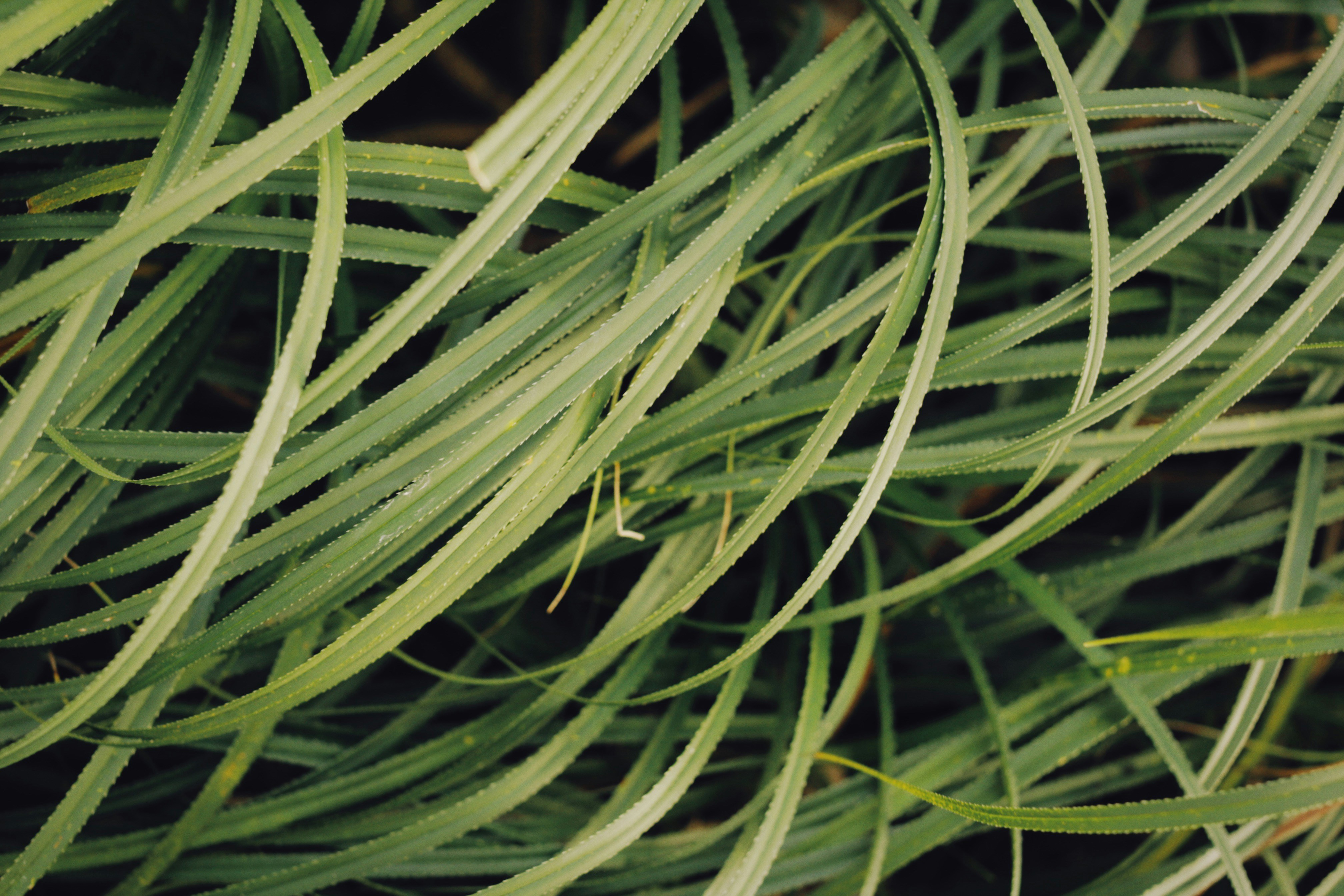 Photo by alexeydemidov