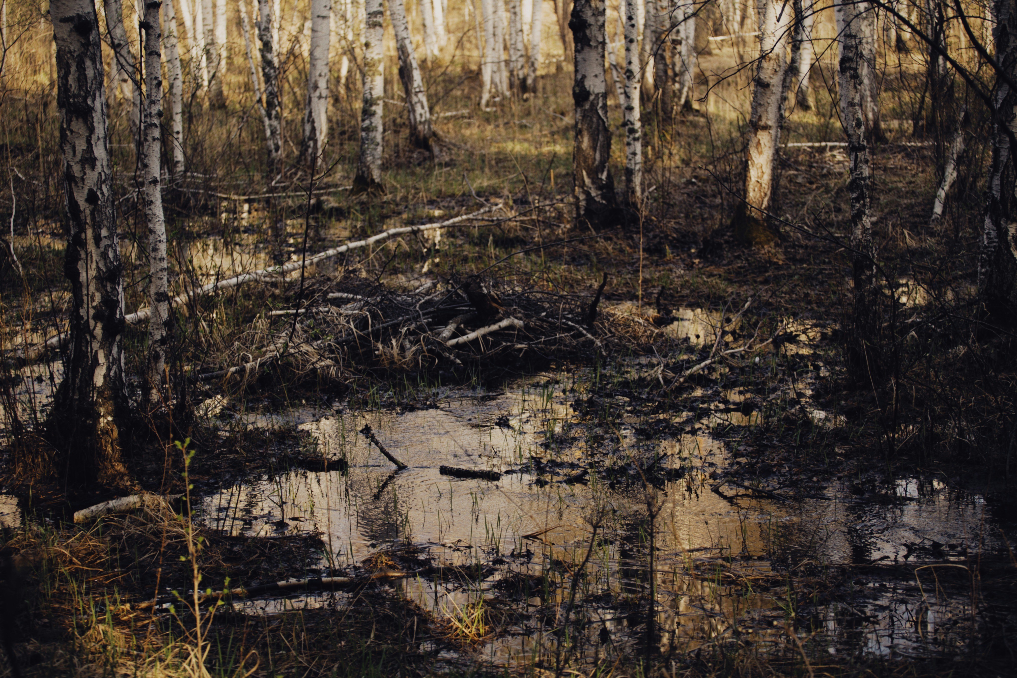 Photo by alexeydemidov