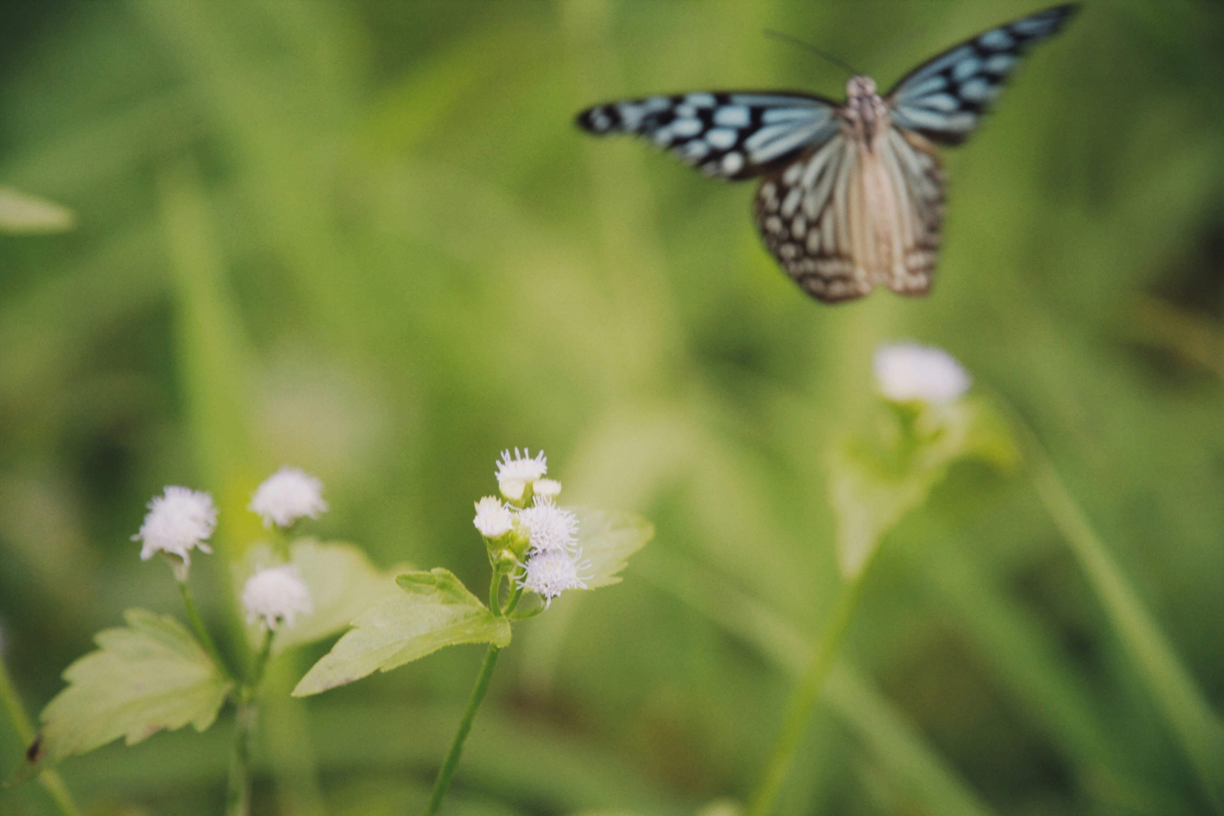 Photo by alexeydemidov