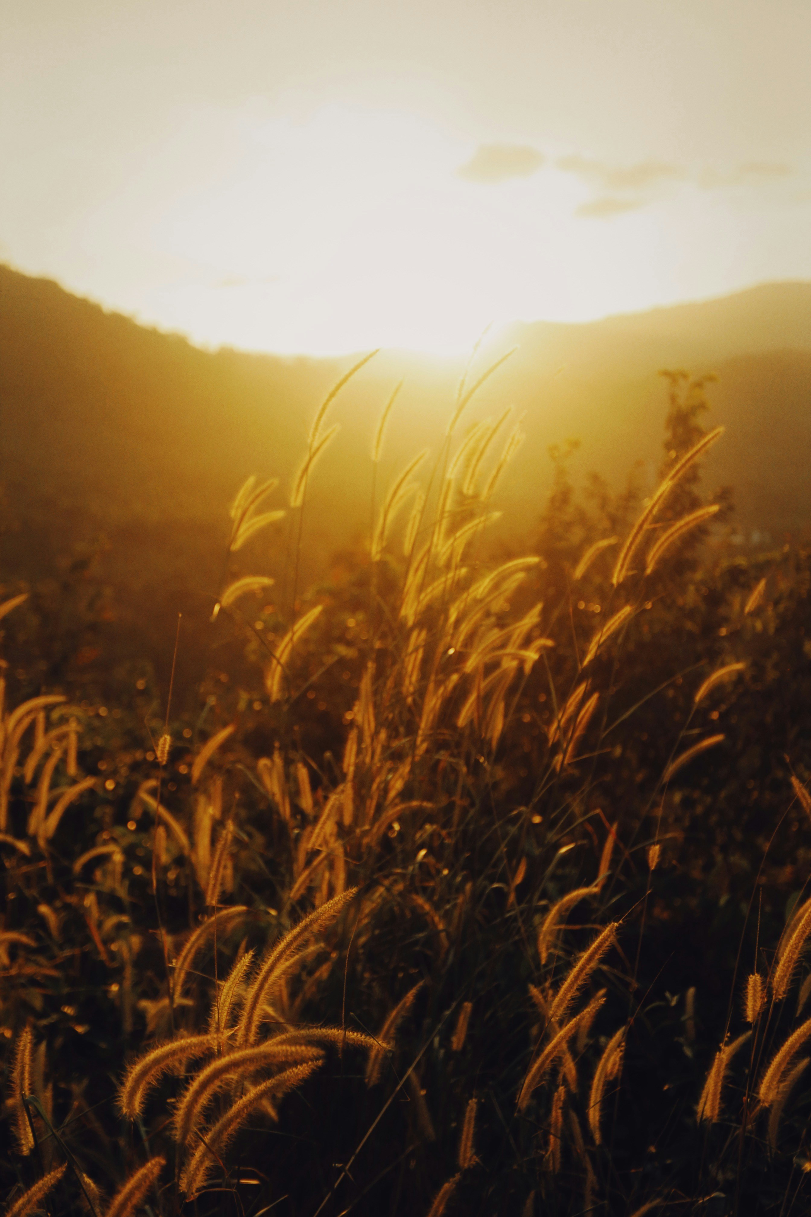 Photo by alexeydemidov