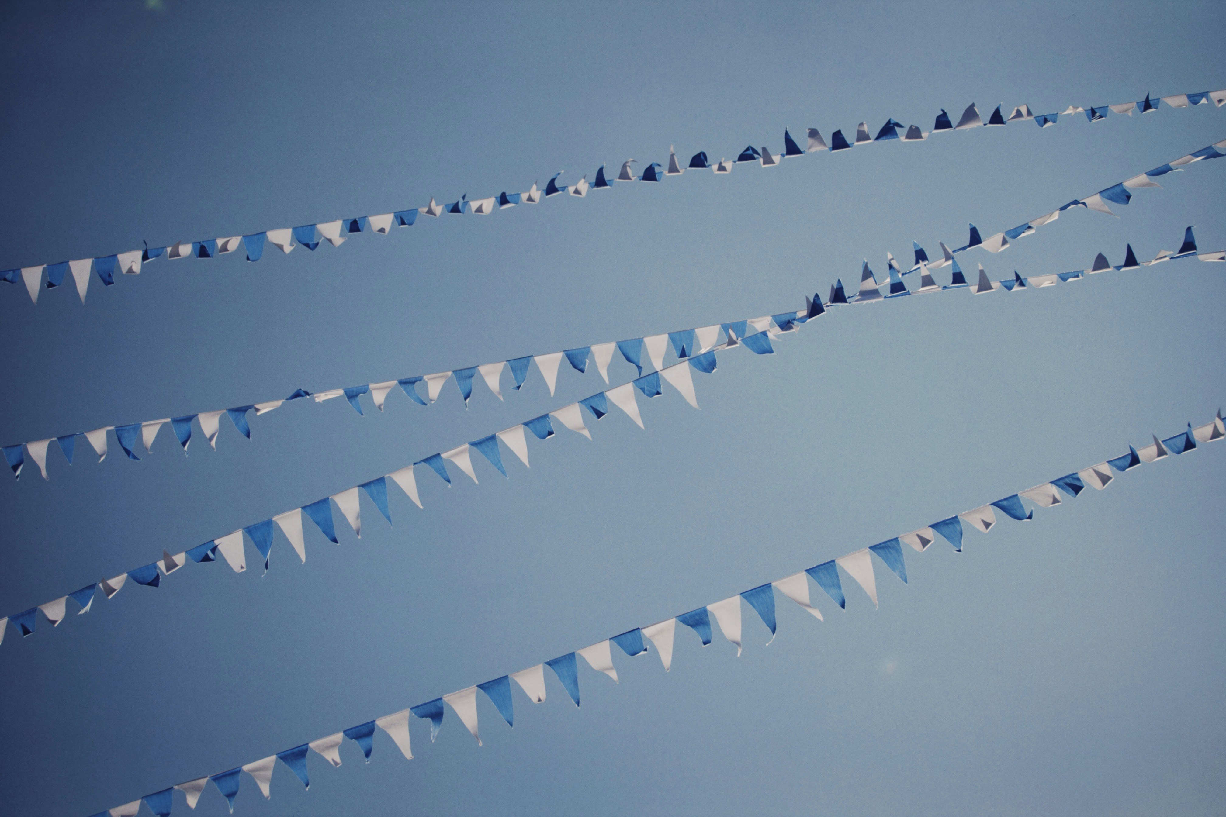 flock of birds flying under blue sky during daytime