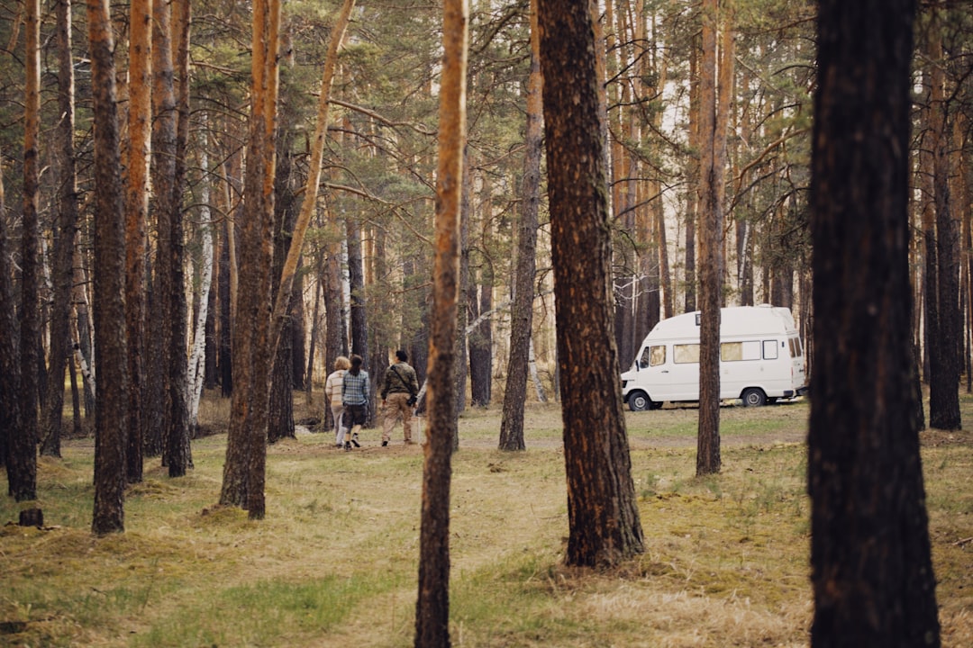 people standing near white van and trees during daytime