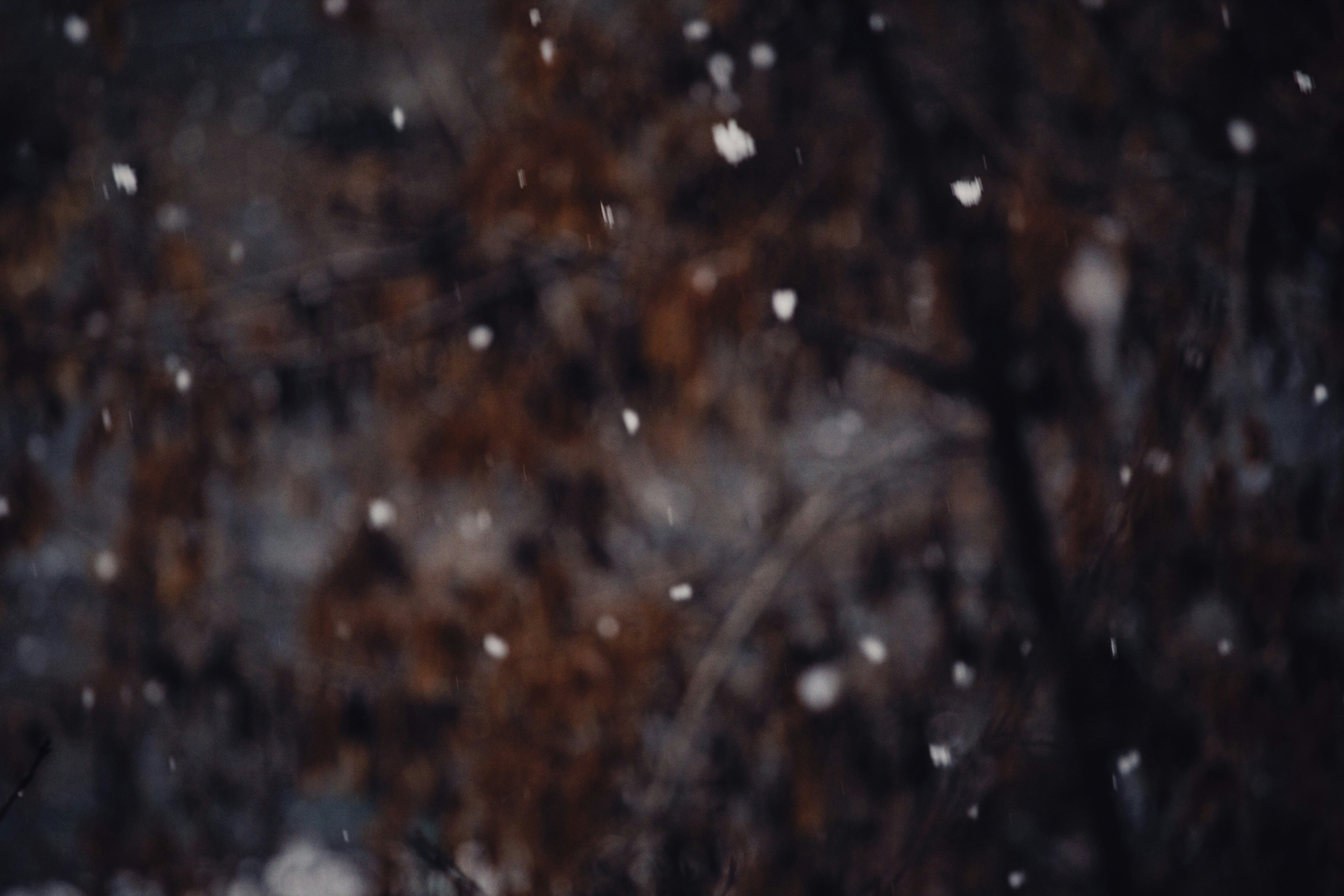 Photo by alexeydemidov