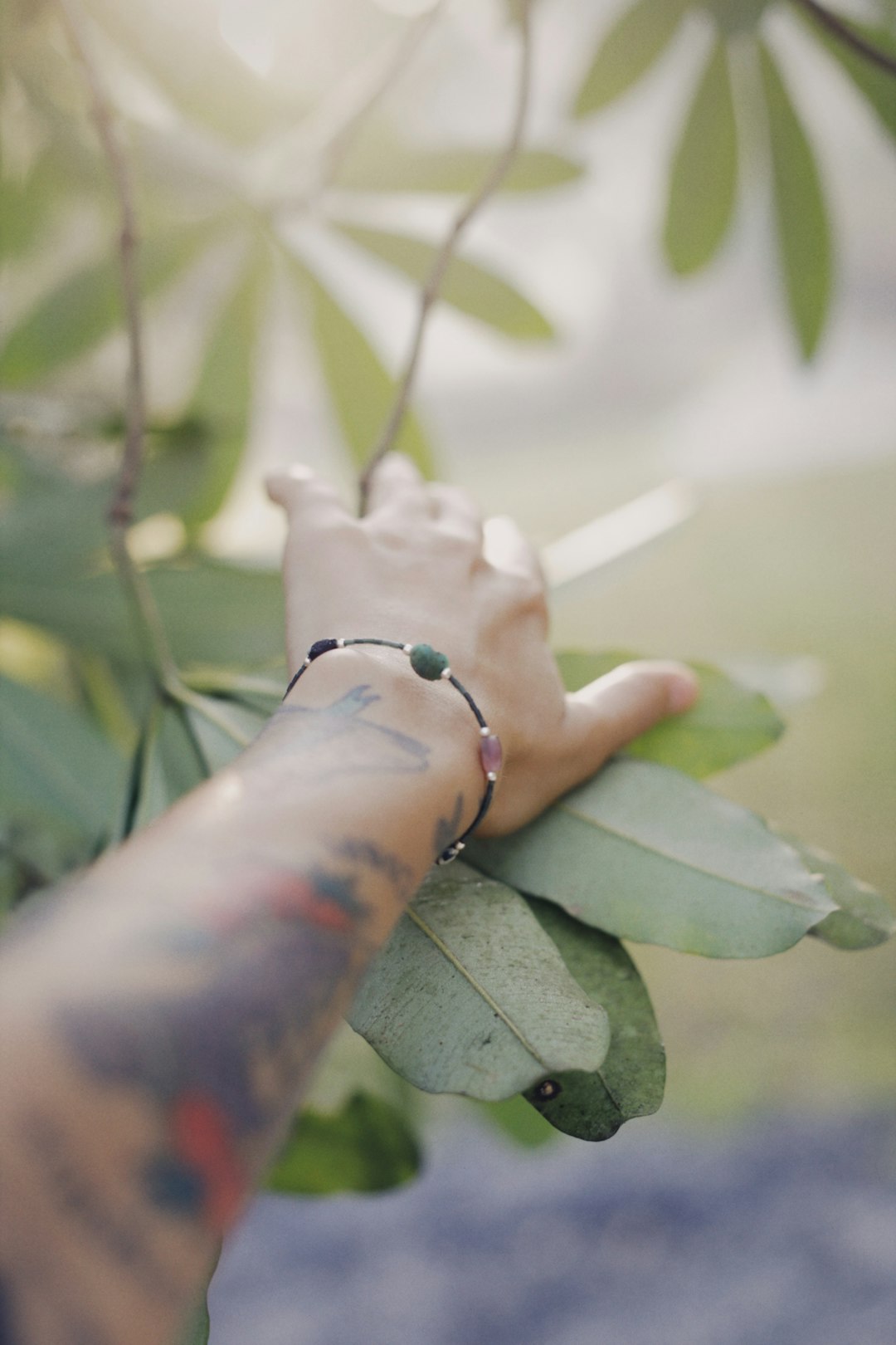 person holding white flower during daytime