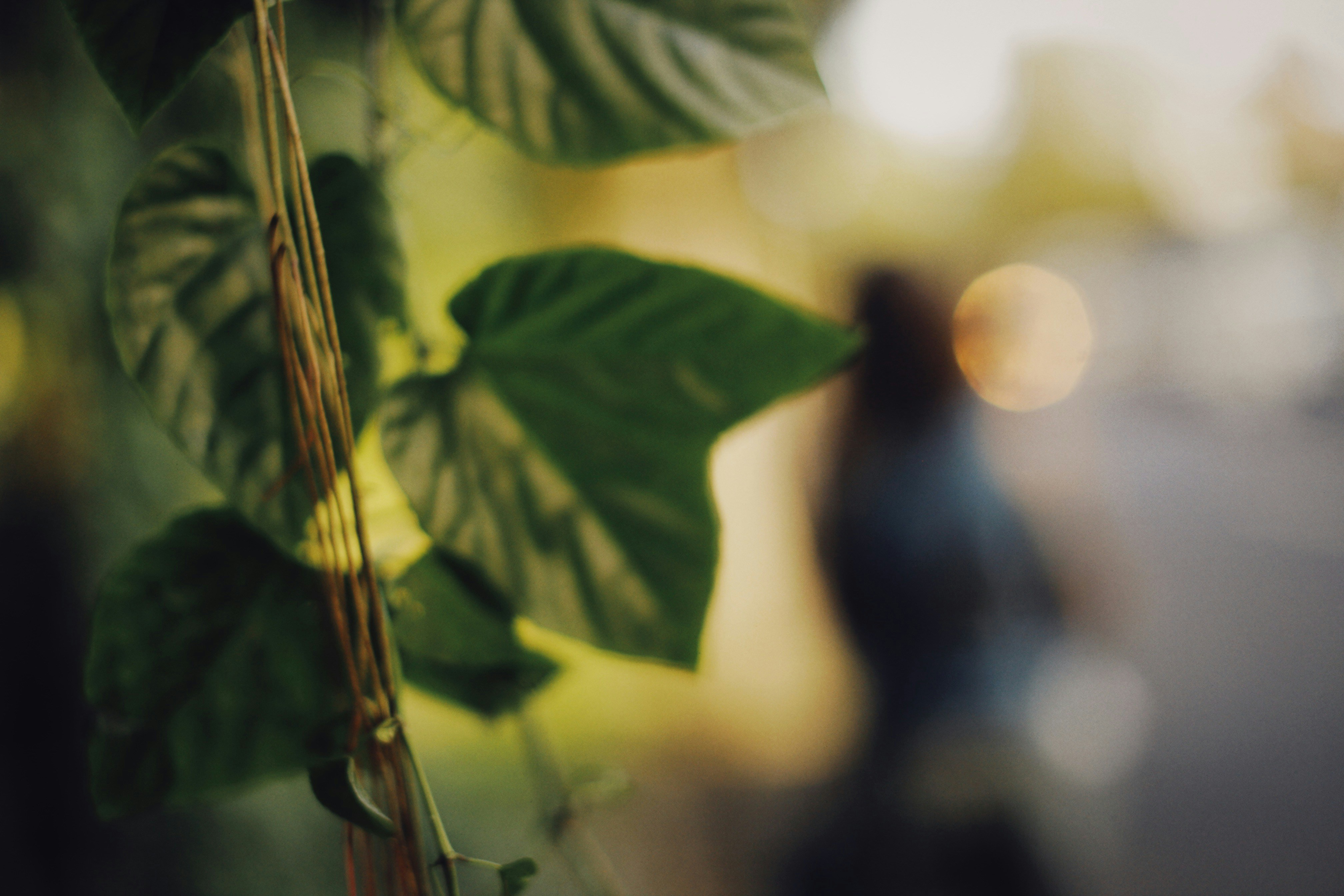 Photo by alexeydemidov