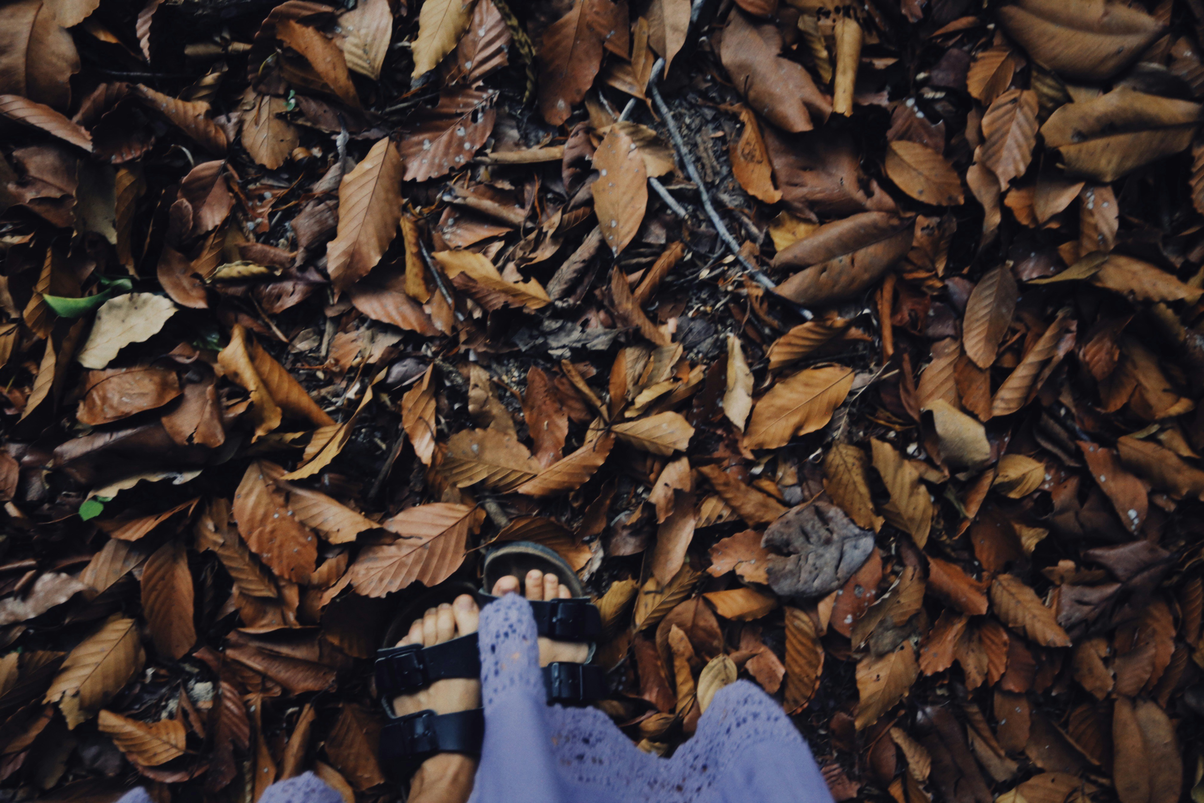 Photo by alexeydemidov