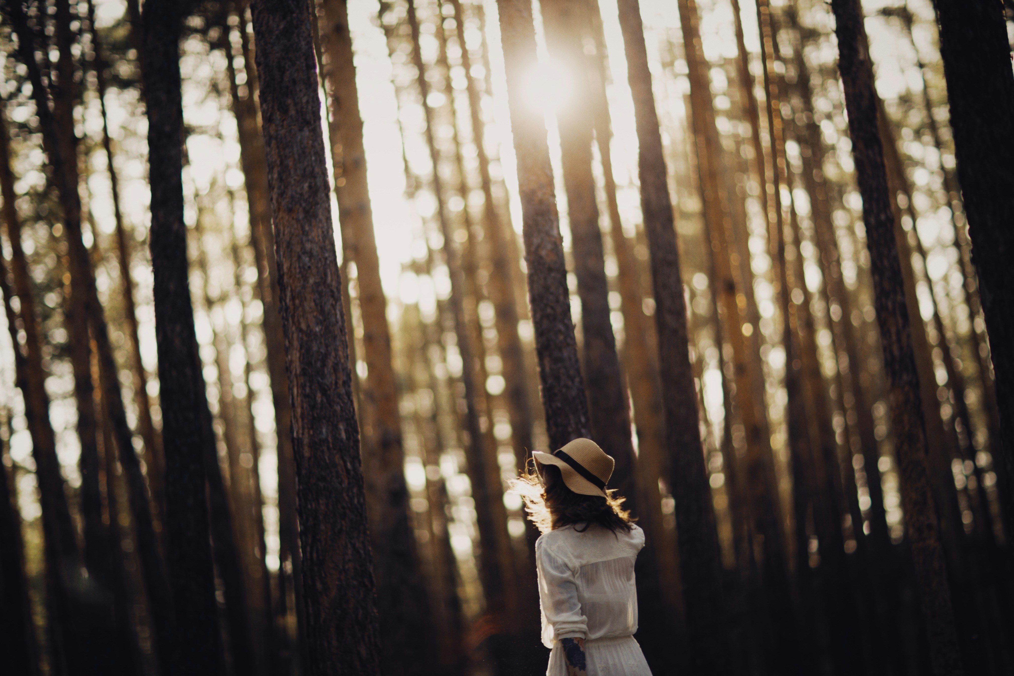 Photo by alexeydemidov