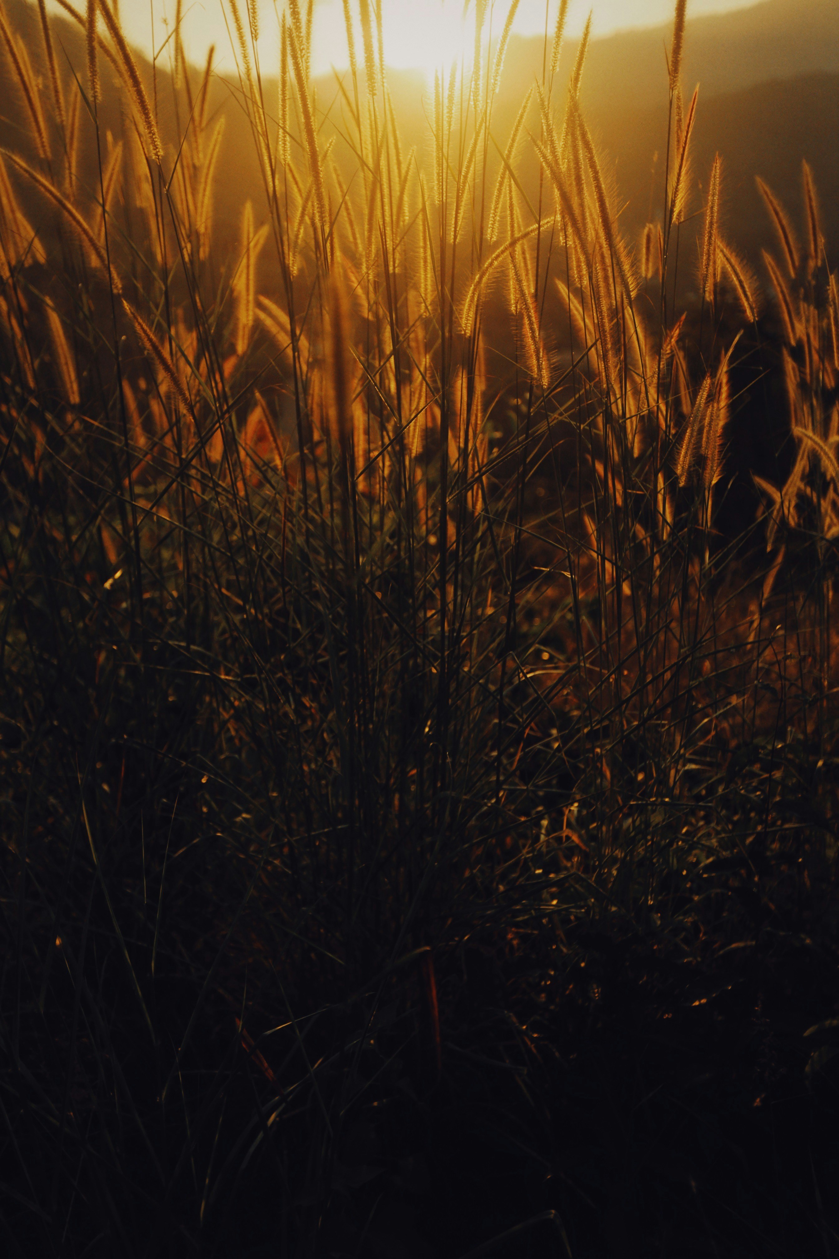 Photo by alexeydemidov