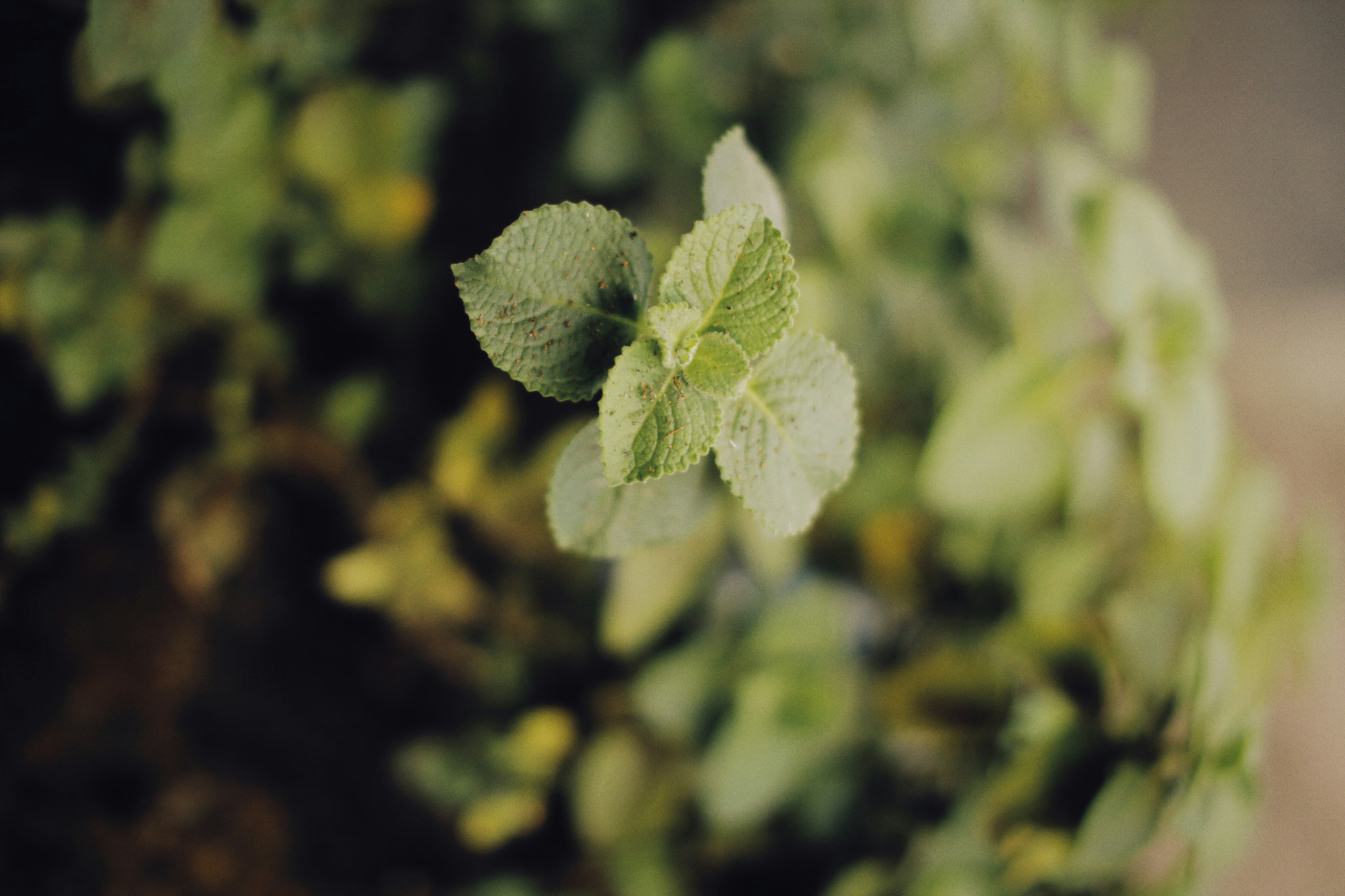 Photo by alexeydemidov