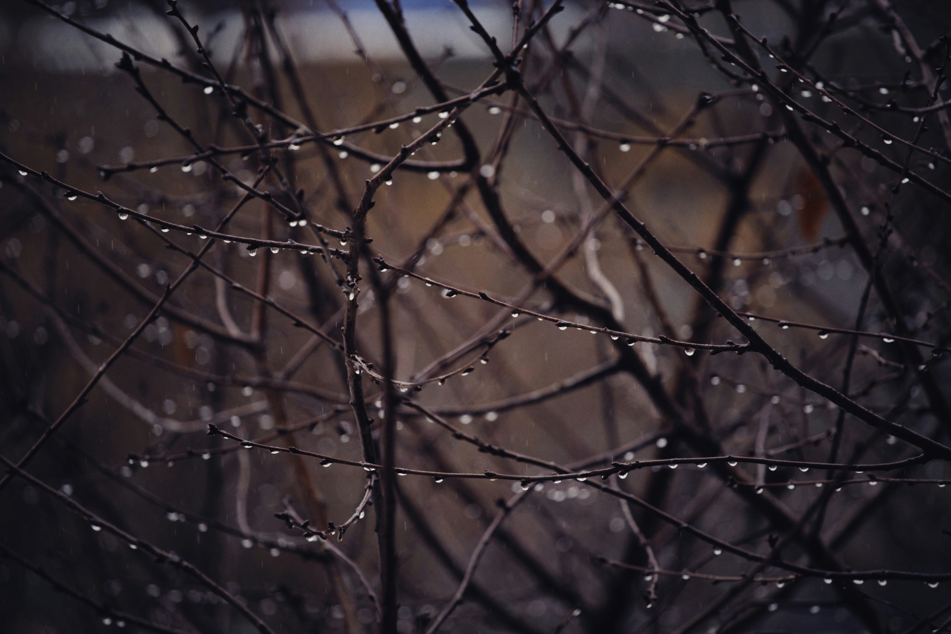 Photo by alexeydemidov