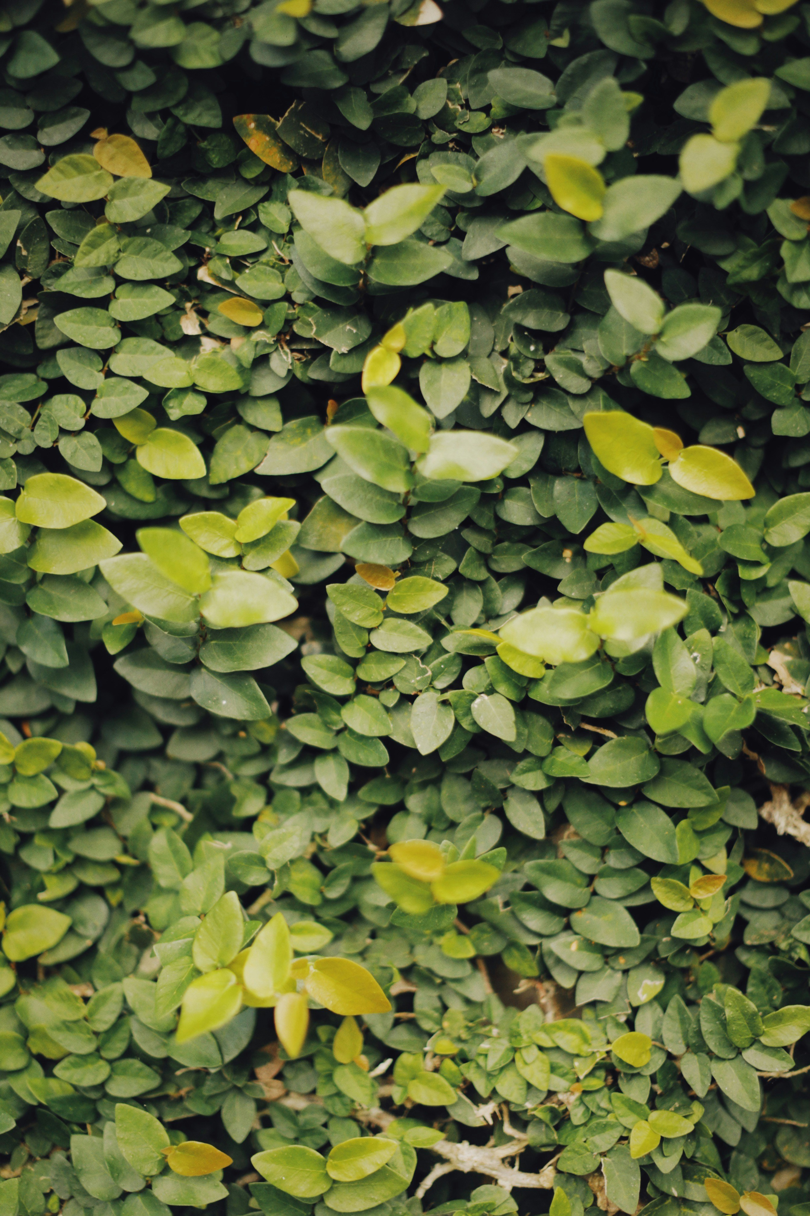 Photo by alexeydemidov