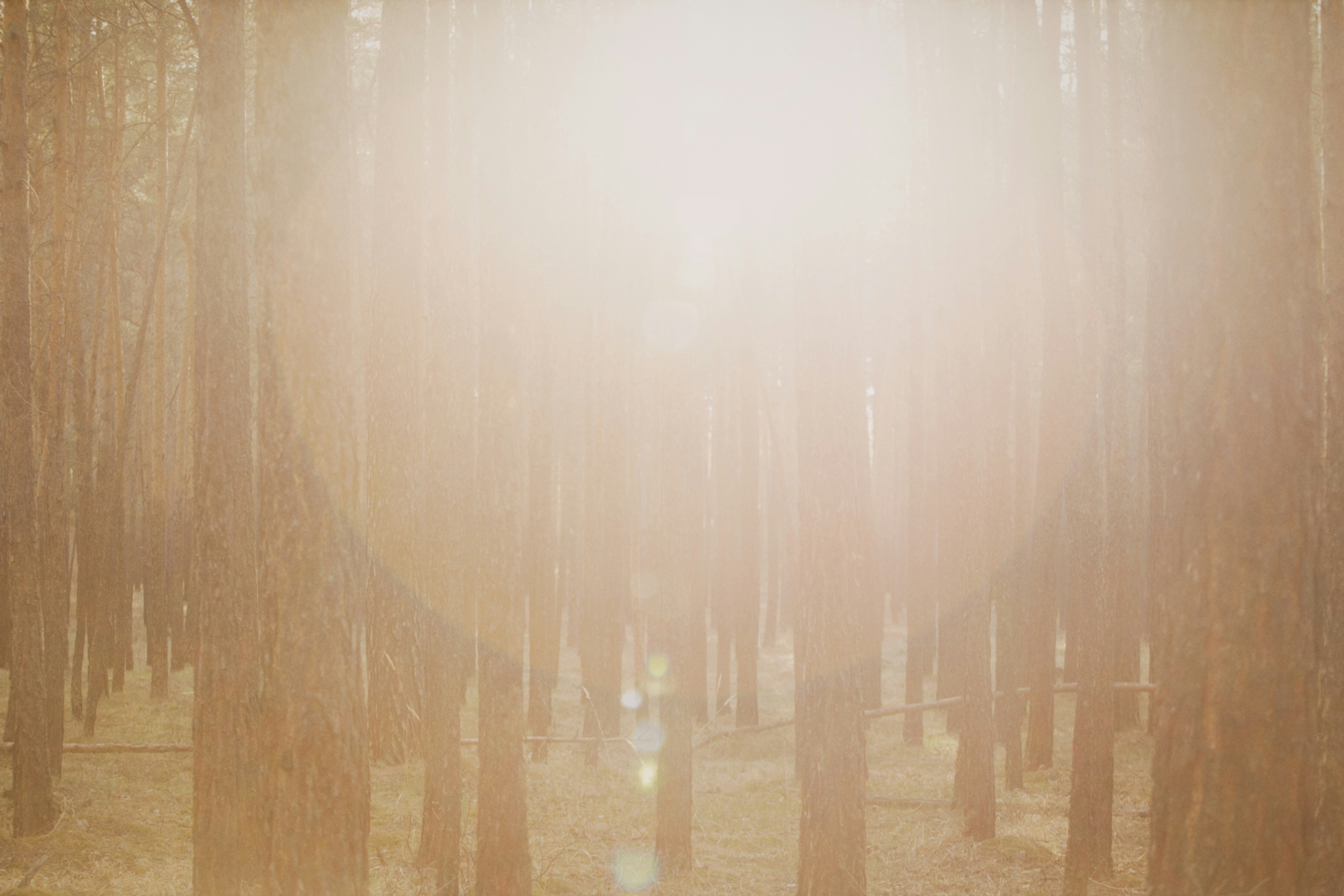 Photo by alexeydemidov