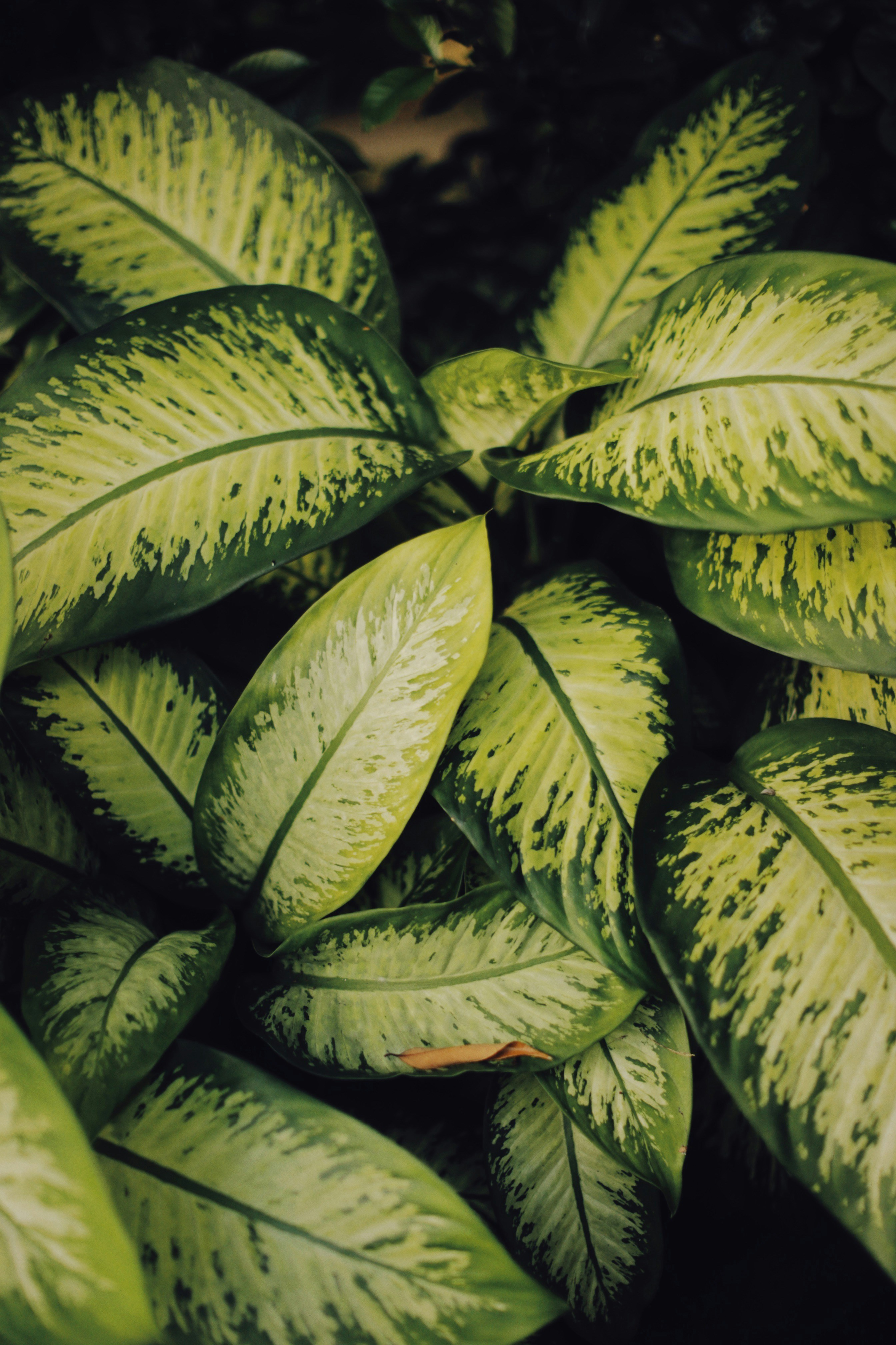 Photo by alexeydemidov