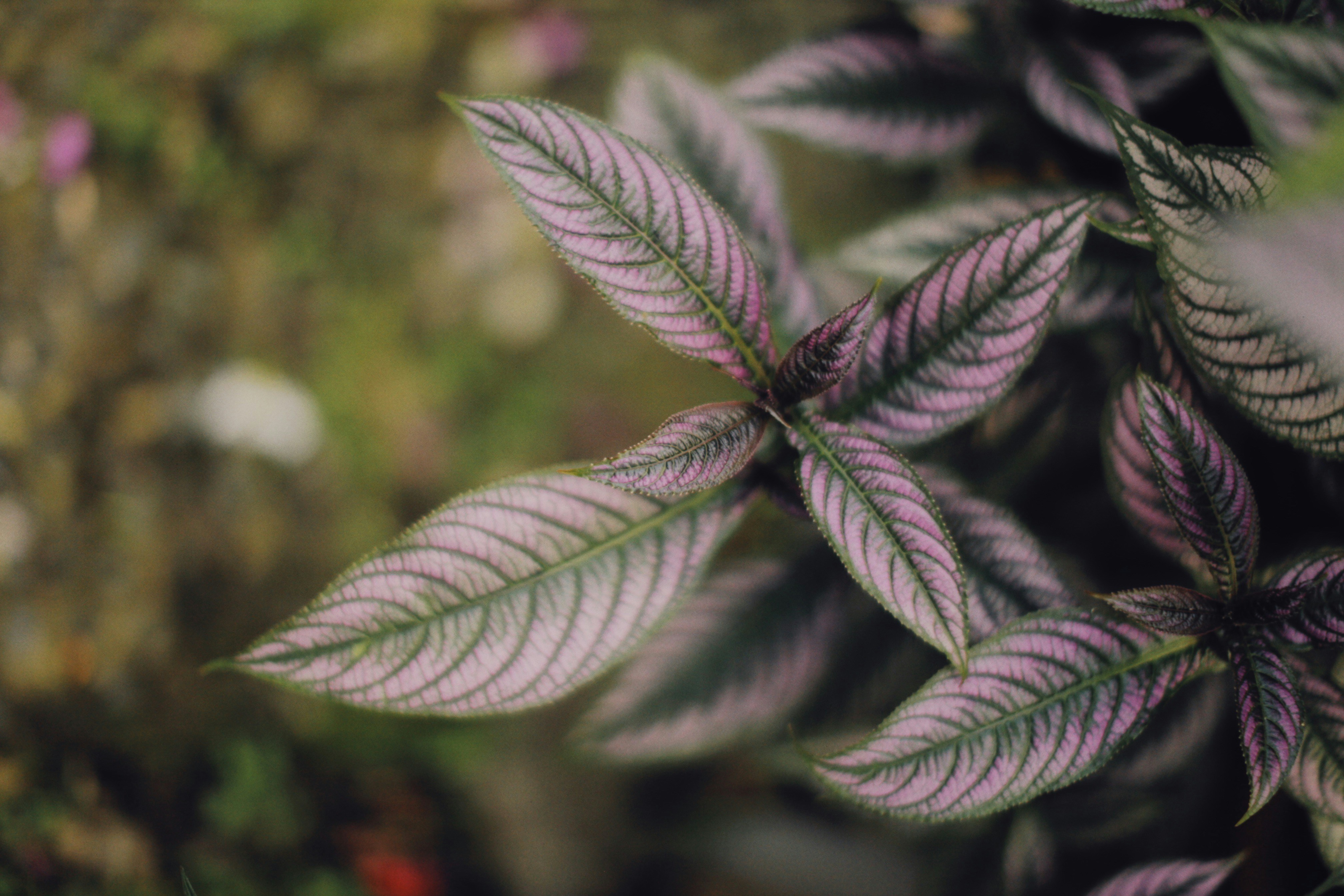 Photo by alexeydemidov