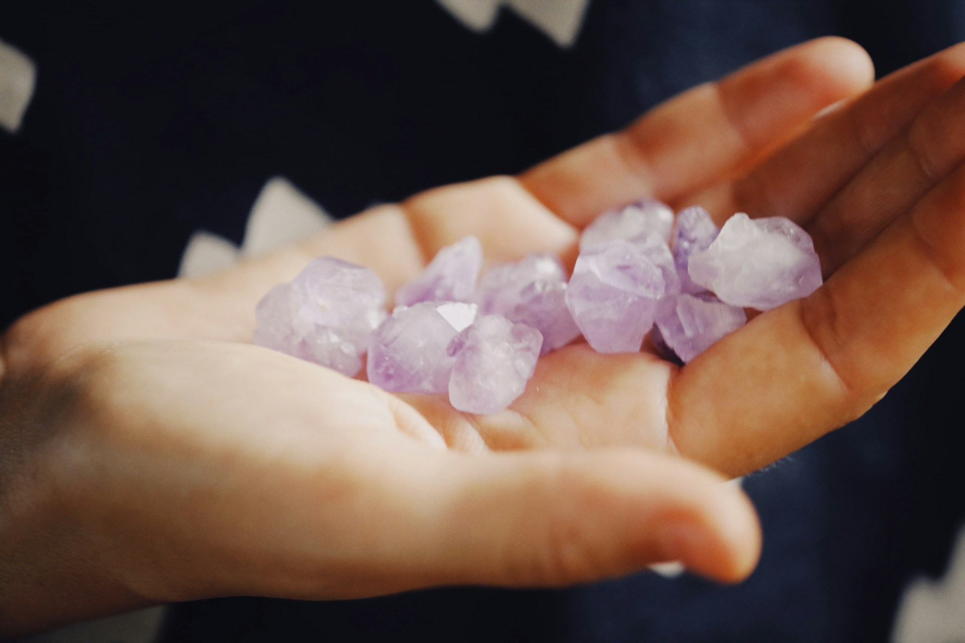 pink and white petals on persons hand