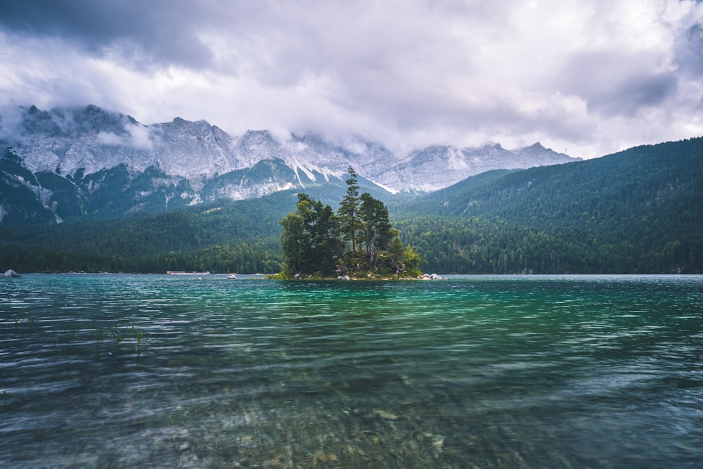 green trees near body of water during daytime