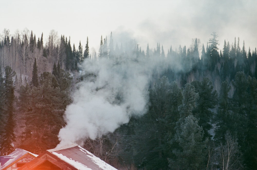 brown house near green trees covered with fog