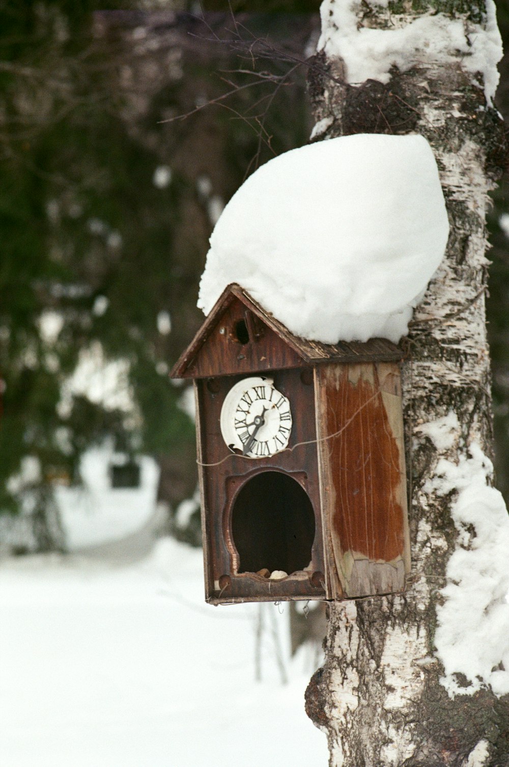 brown wooden birdhouse covered with snow
