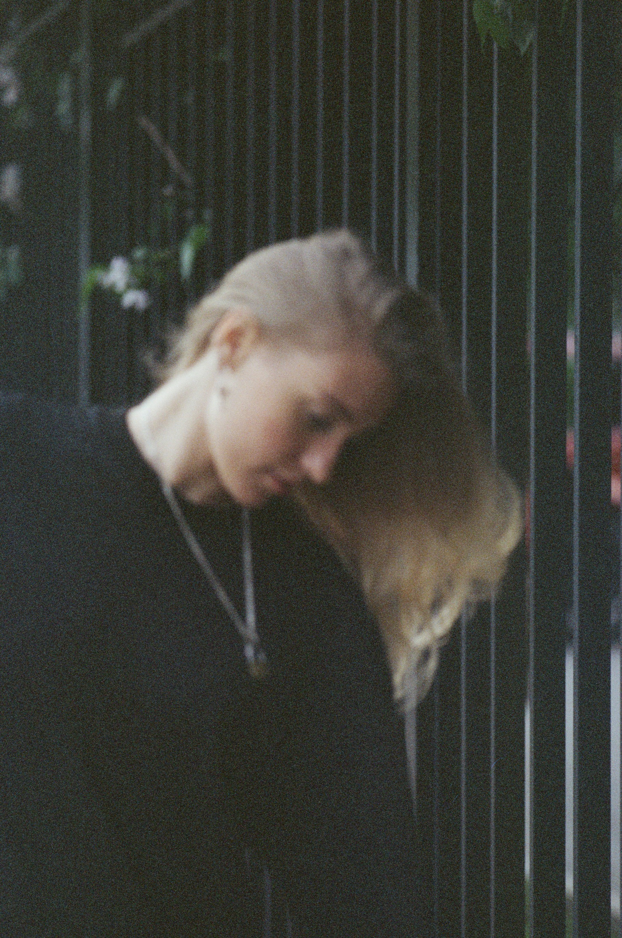 Photo by daria_kraplak