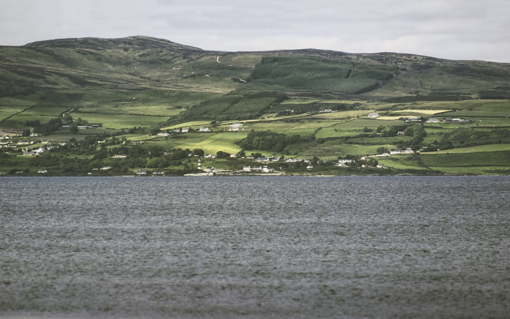 green grass field near body of water during daytime