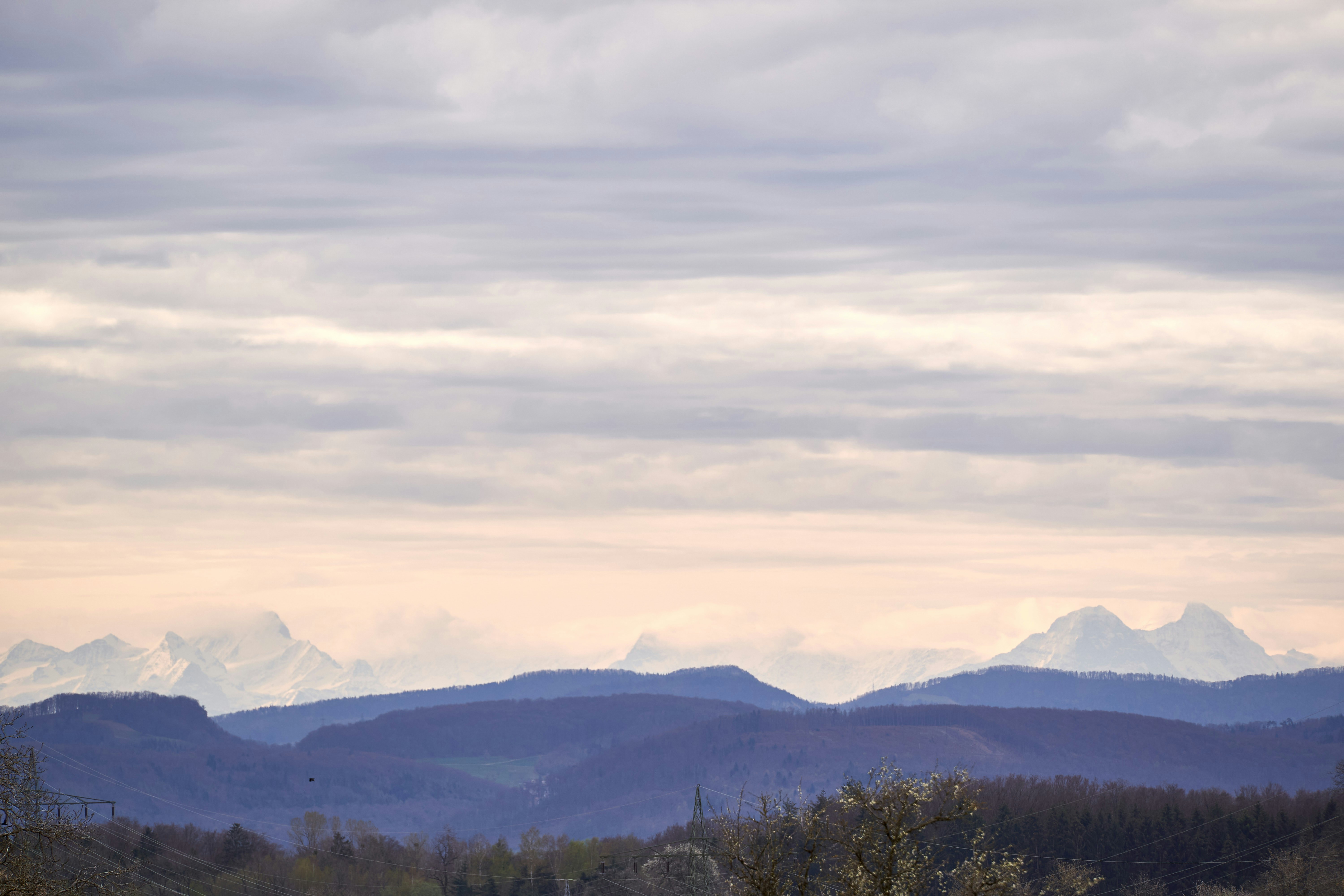 Photo by wolfgang_hasselmann