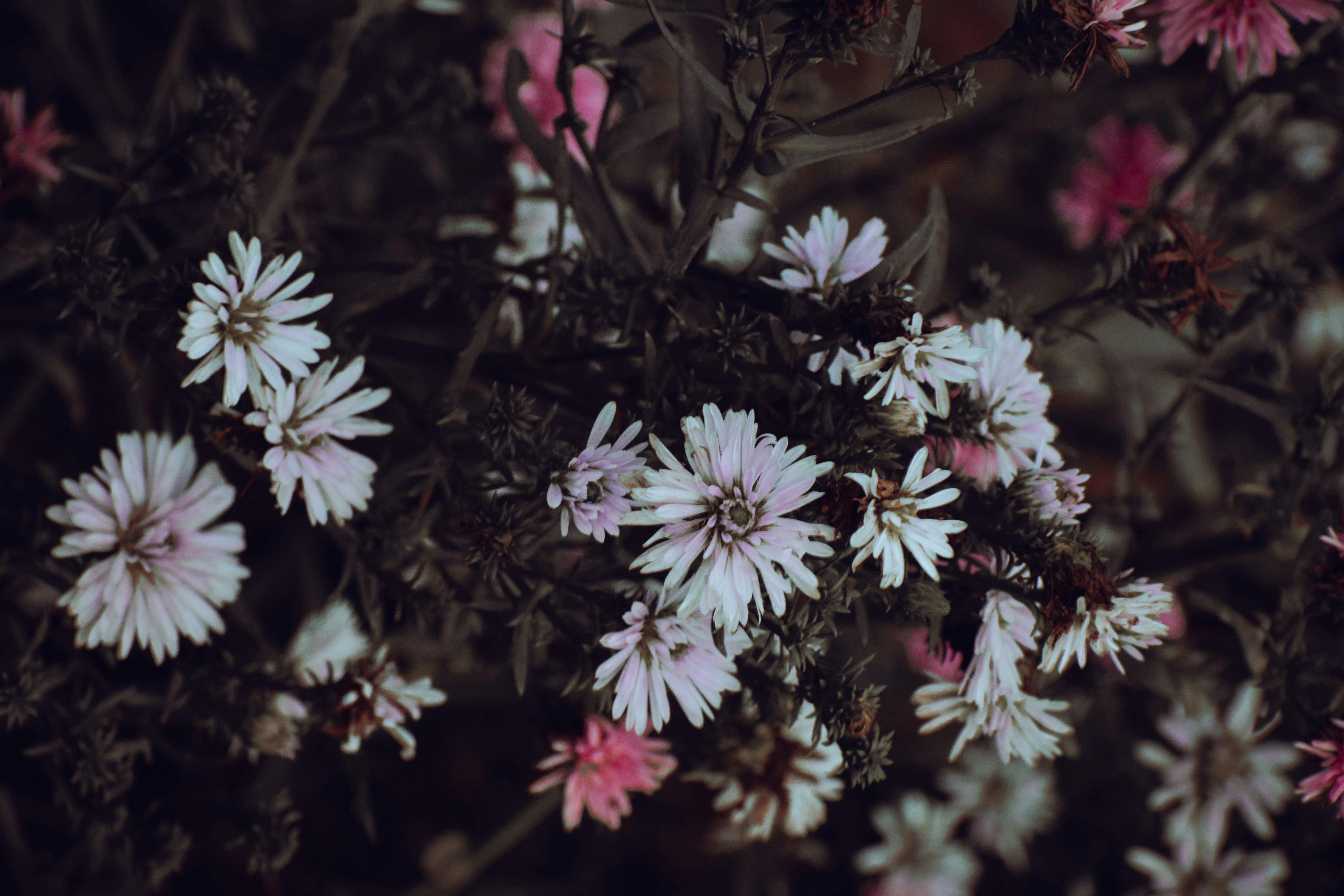 Say goodbye to autumn.