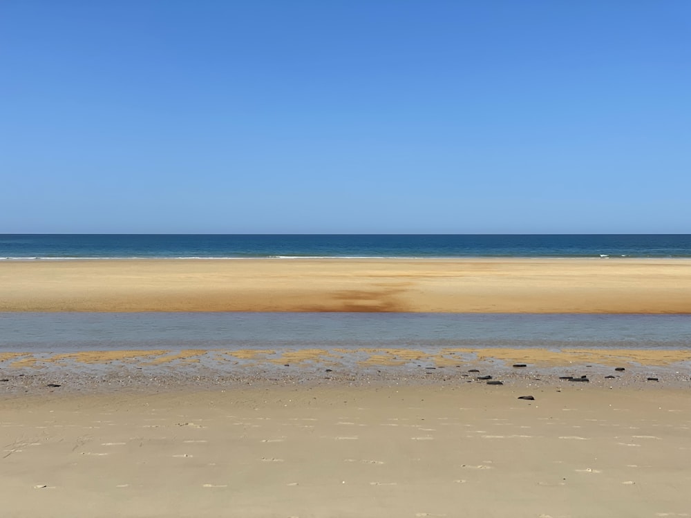 brown sand beach during daytime