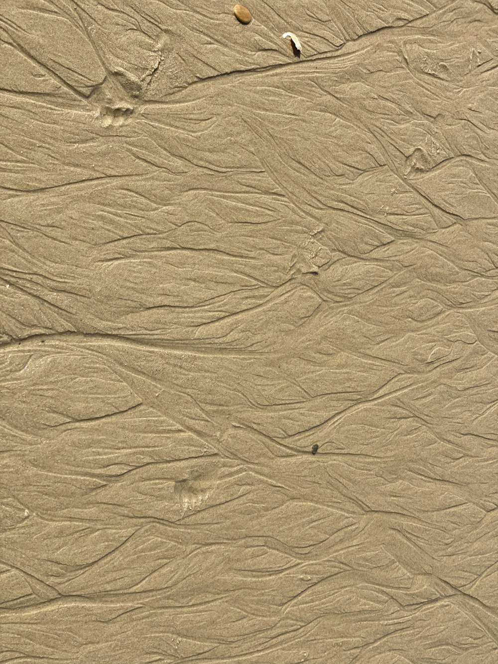 하얀 모래와 갈색 모래