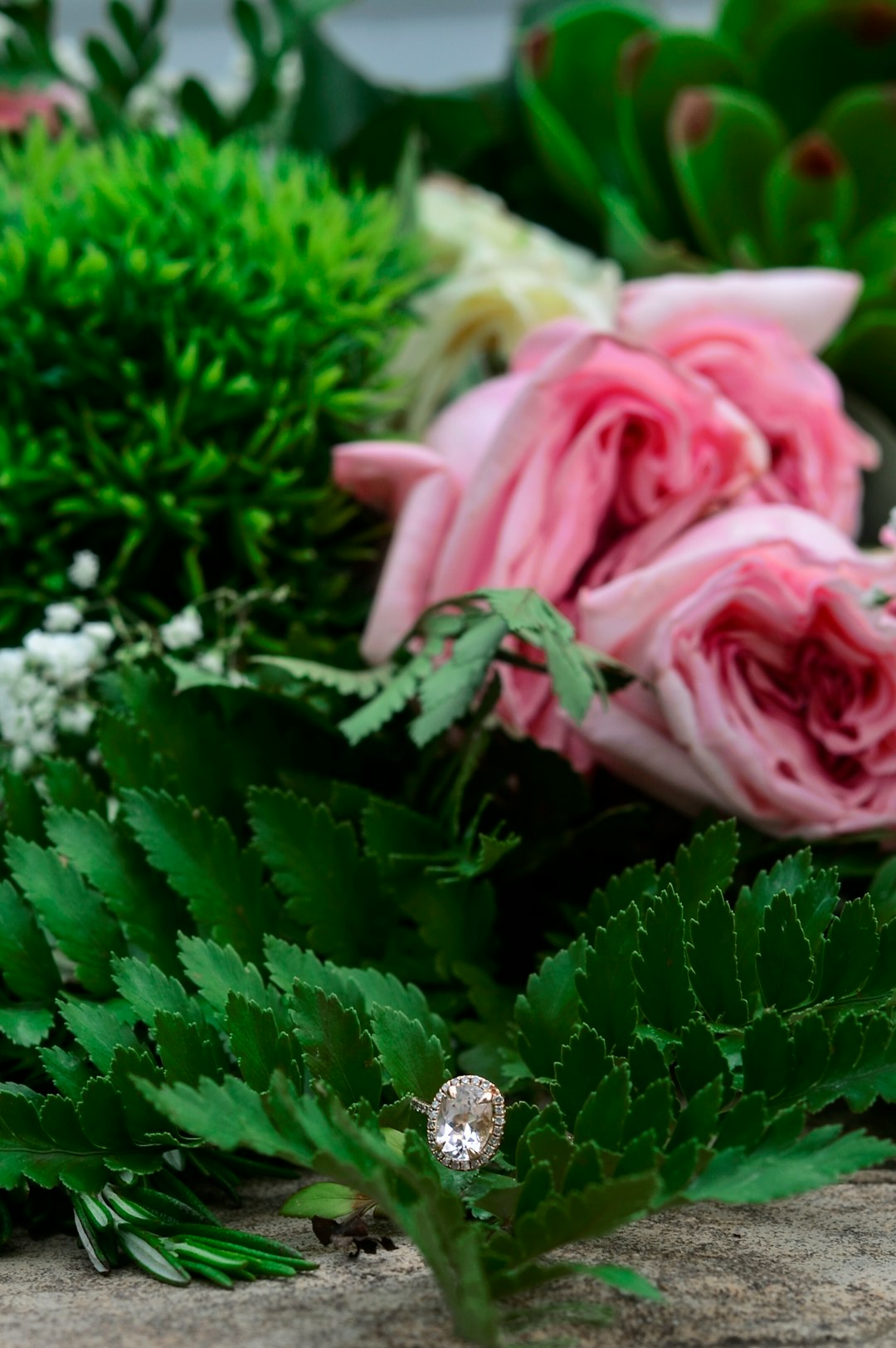 pink roses with green leaves