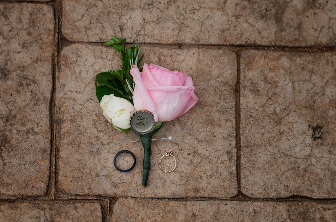 pink rose beside black magnifying glass