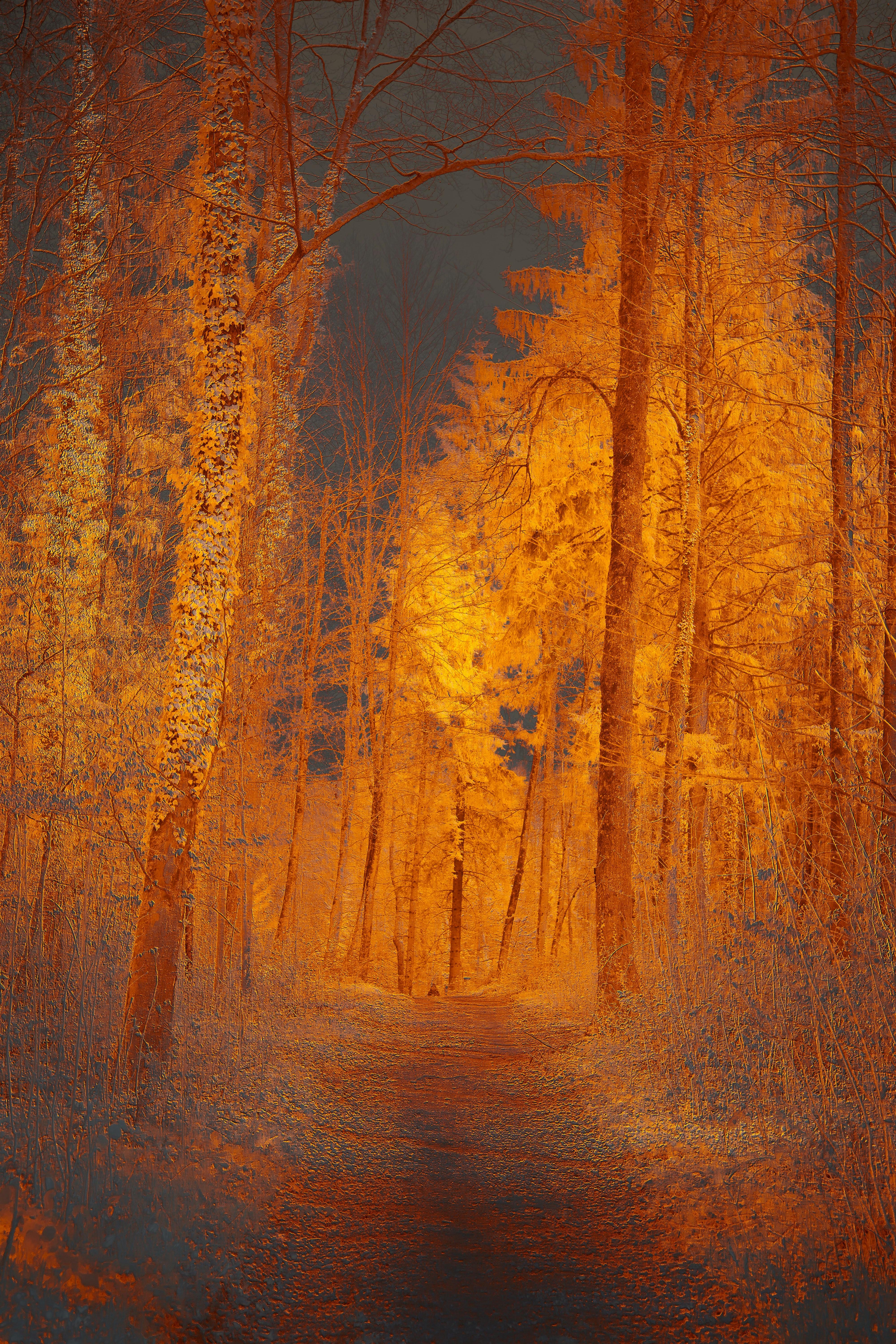 Photo by wolfgang_hasselmann