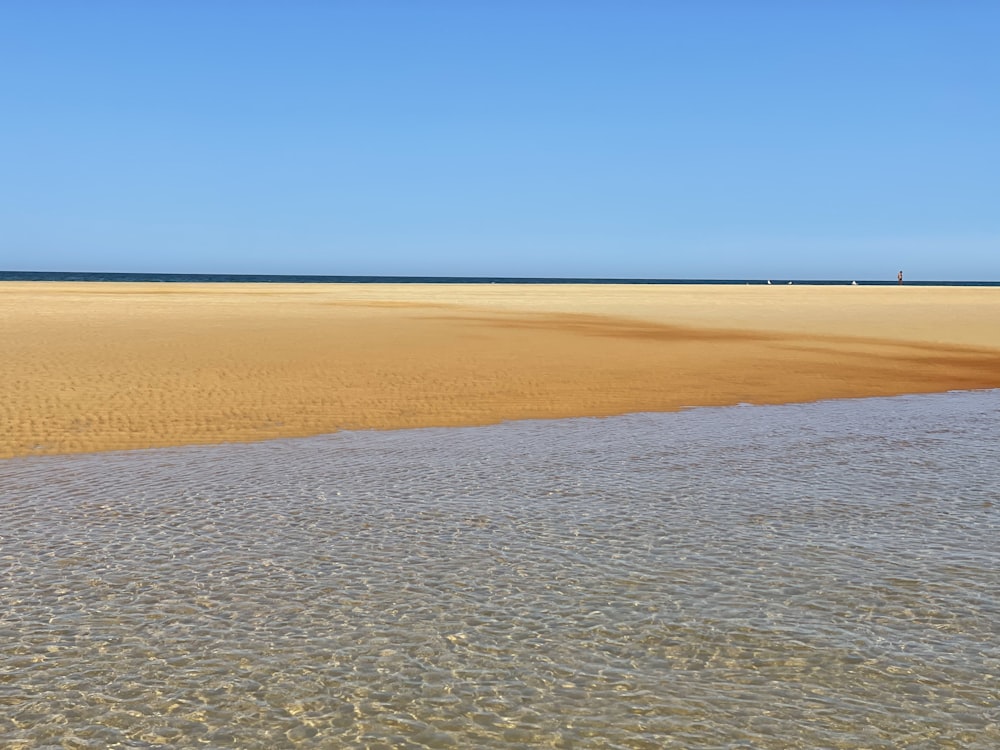 brown sand near body of water during daytime