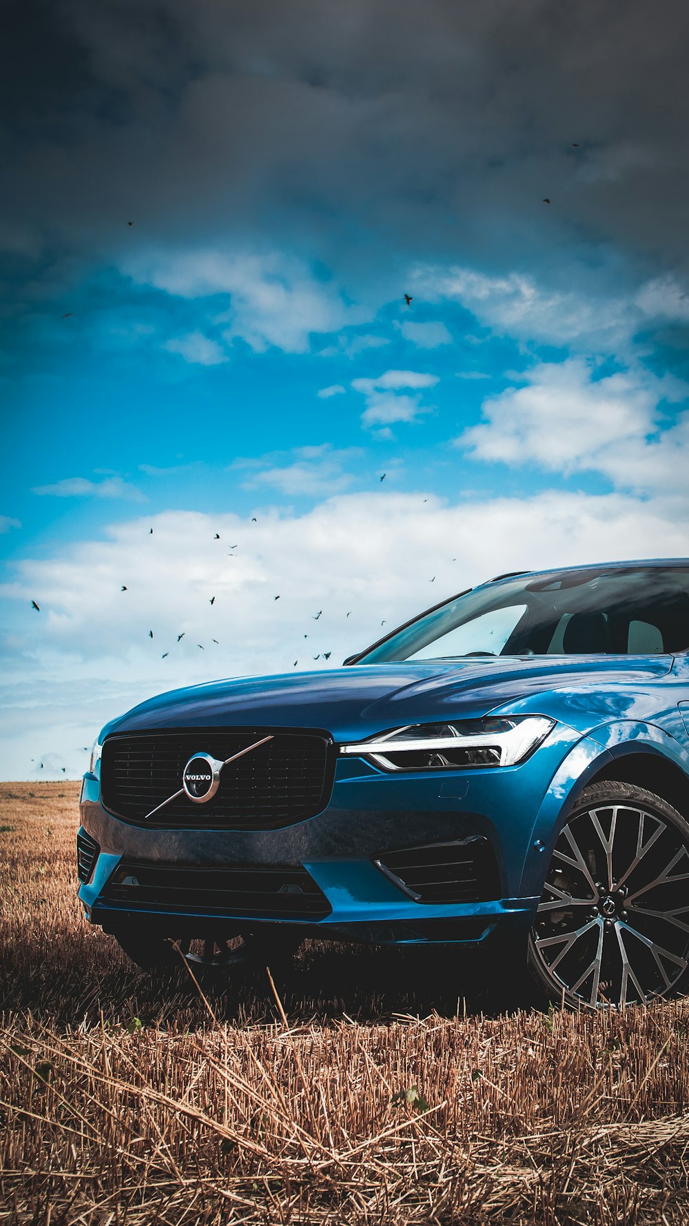 1000+ Volvo Pictures | Download Free Images on Unsplash