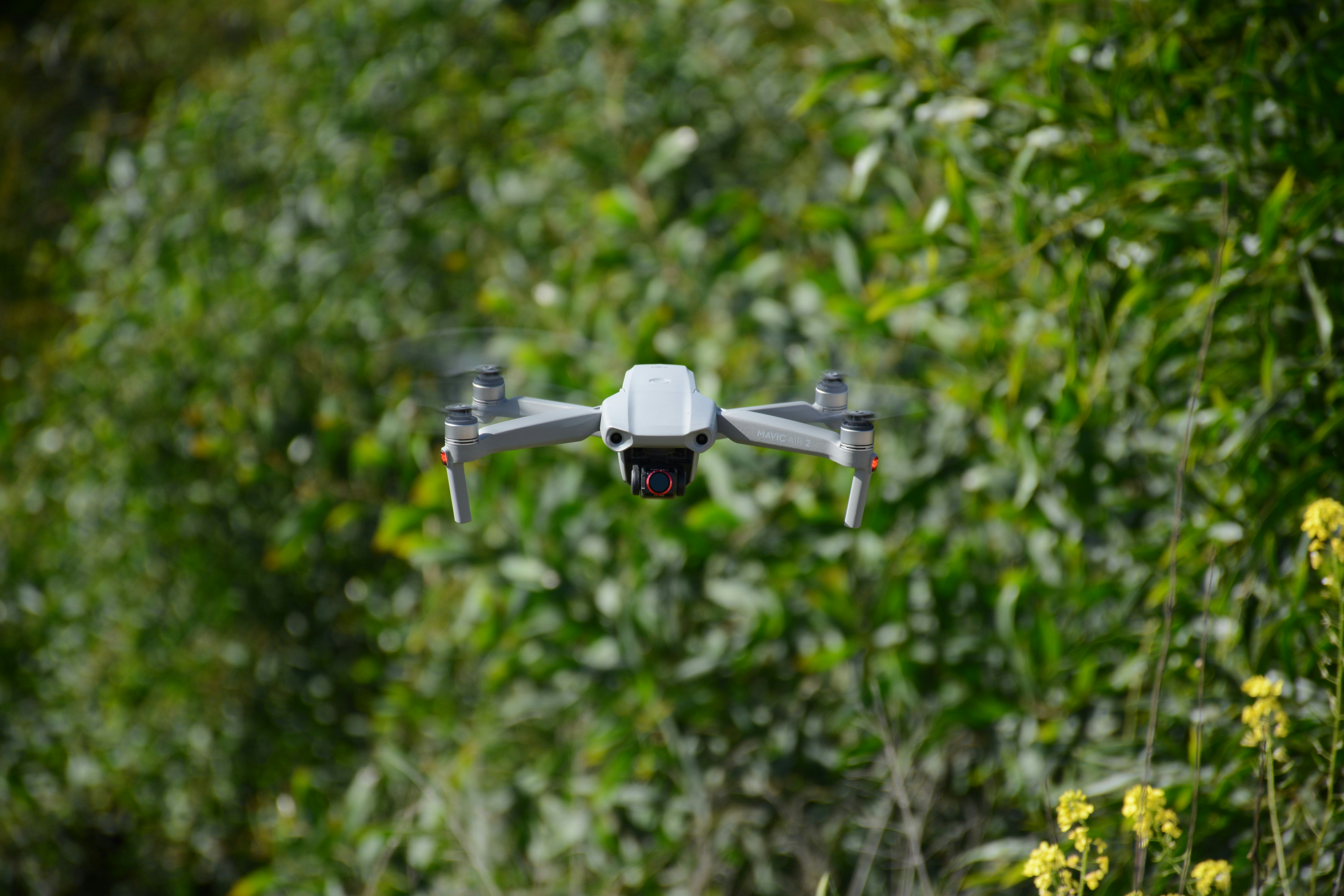 Technology Meets Invasion: Modern Detection and Control (image credits: unsplash)