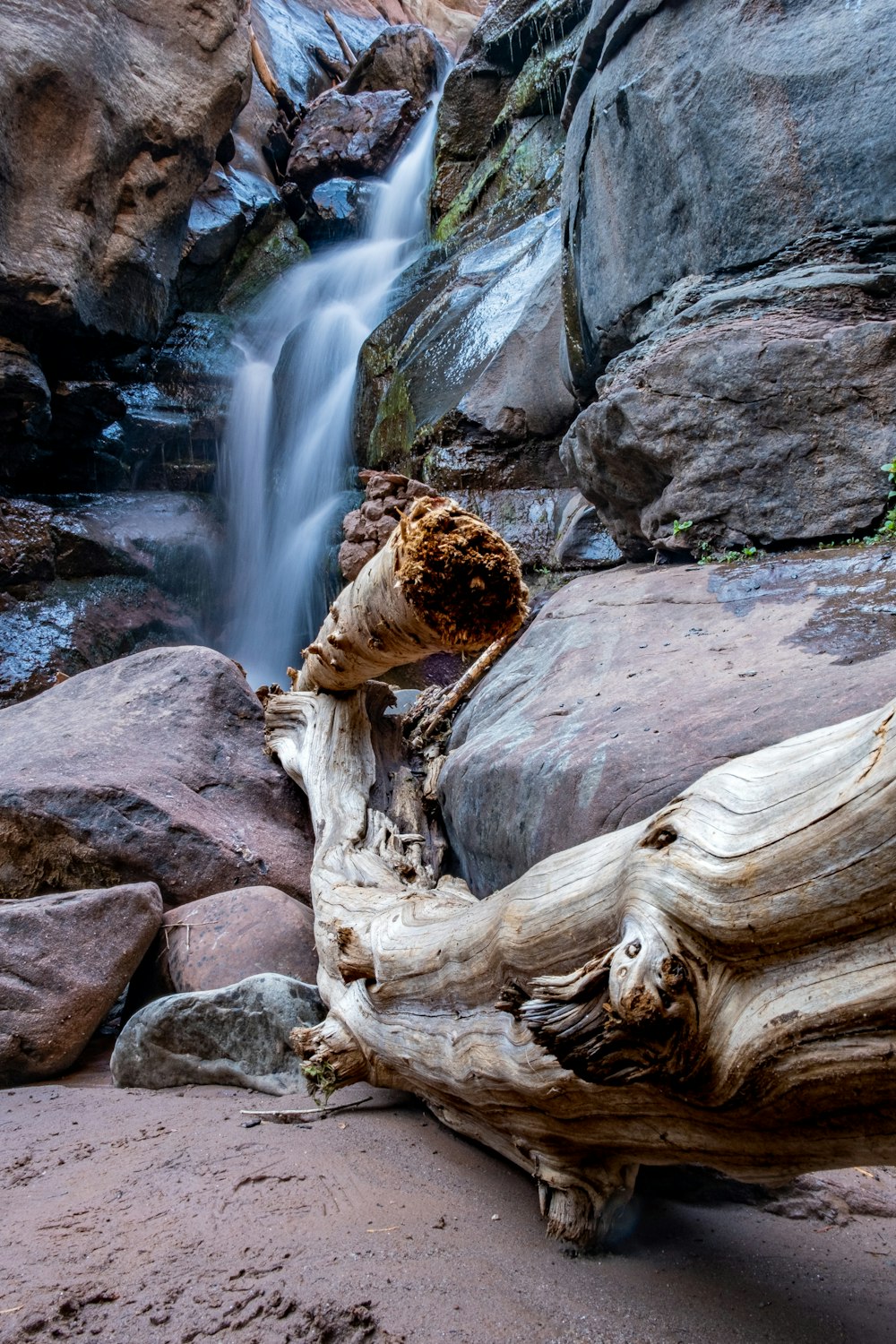 a fallen tree sitting in front of a waterfall