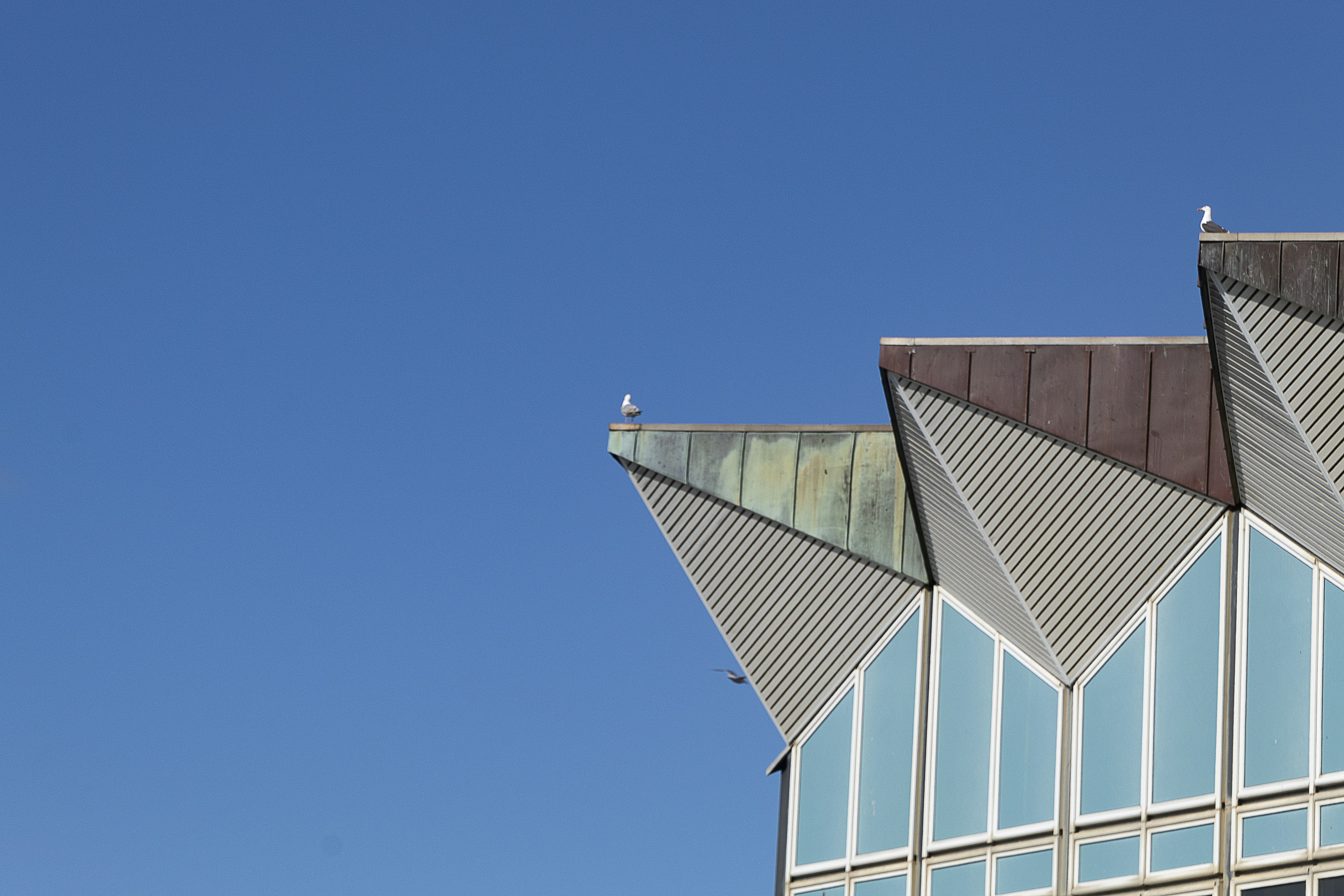 Photo by lucie_dorne