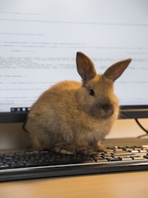 A fluffy brown rabbit is perched on a computer keyboard, with a monitor displaying lines of code in the background. The rabbit's ears are upright and its fur looks soft.
